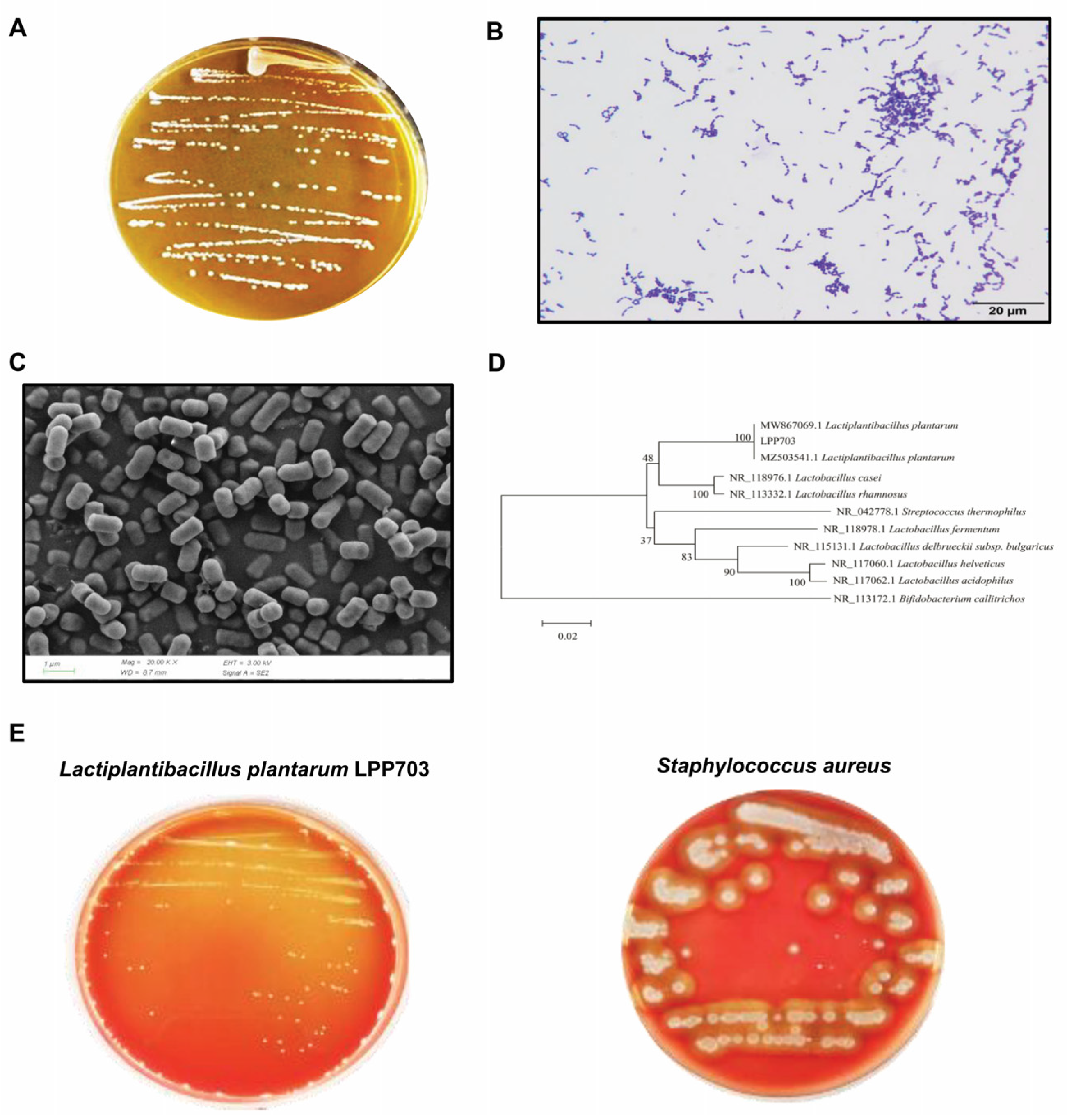 Foods 12 00181 g001 Foods 12 00181 g001