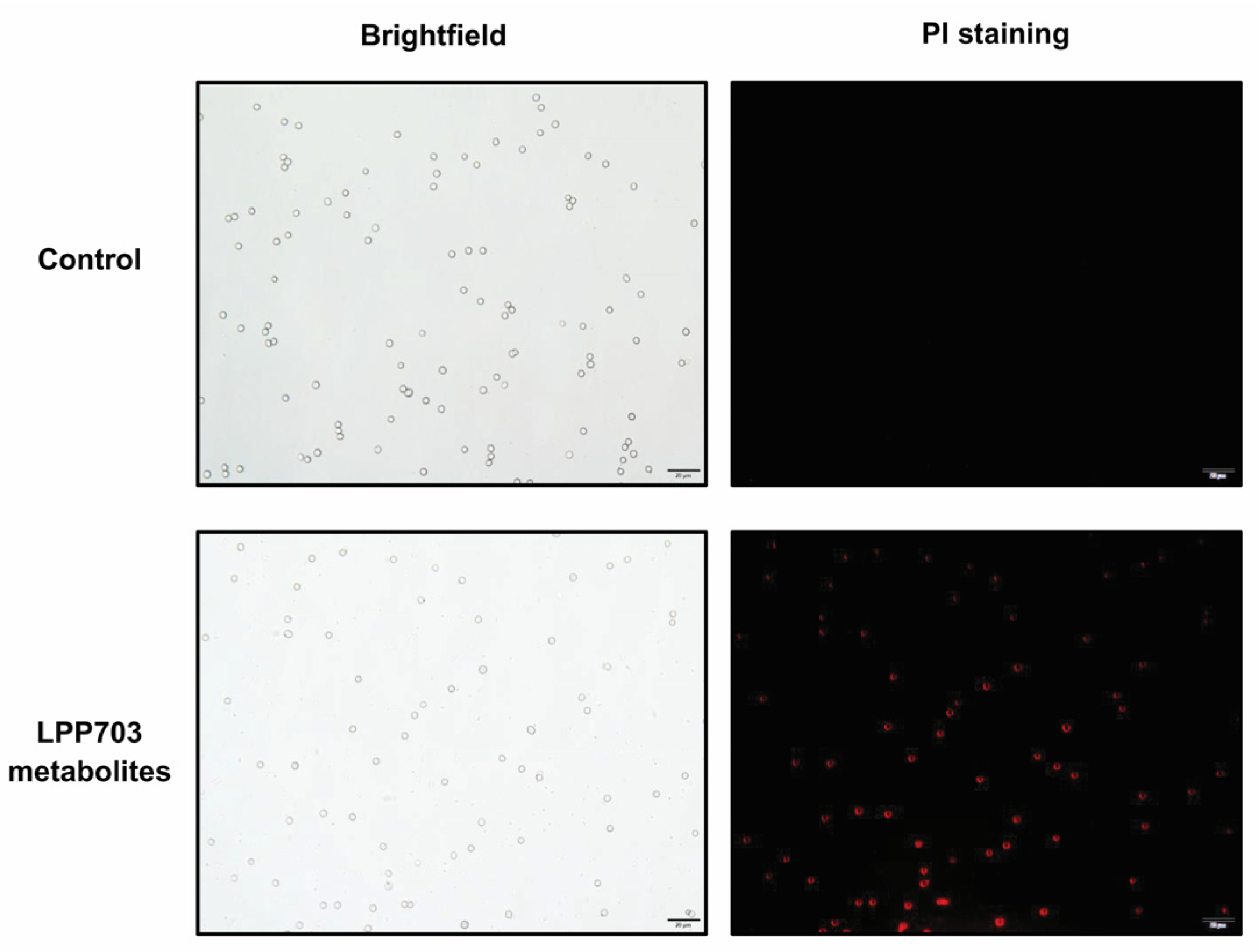 Foods 12 00181 g003 Foods 12 00181 g003