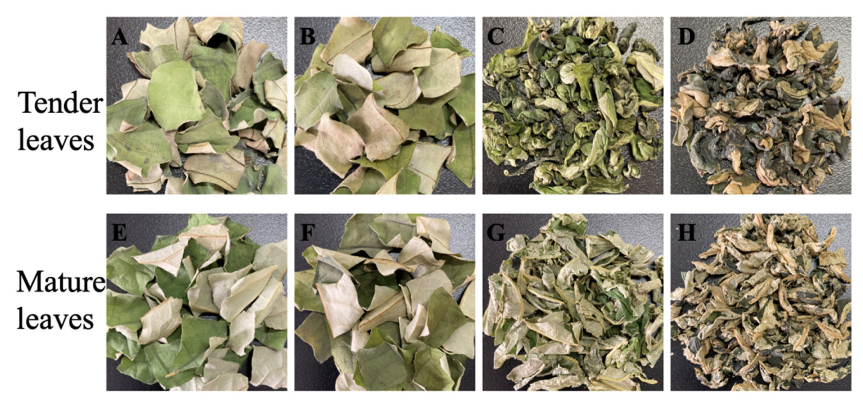 Foods 12 00198 g001 Foods 12 00198 g001