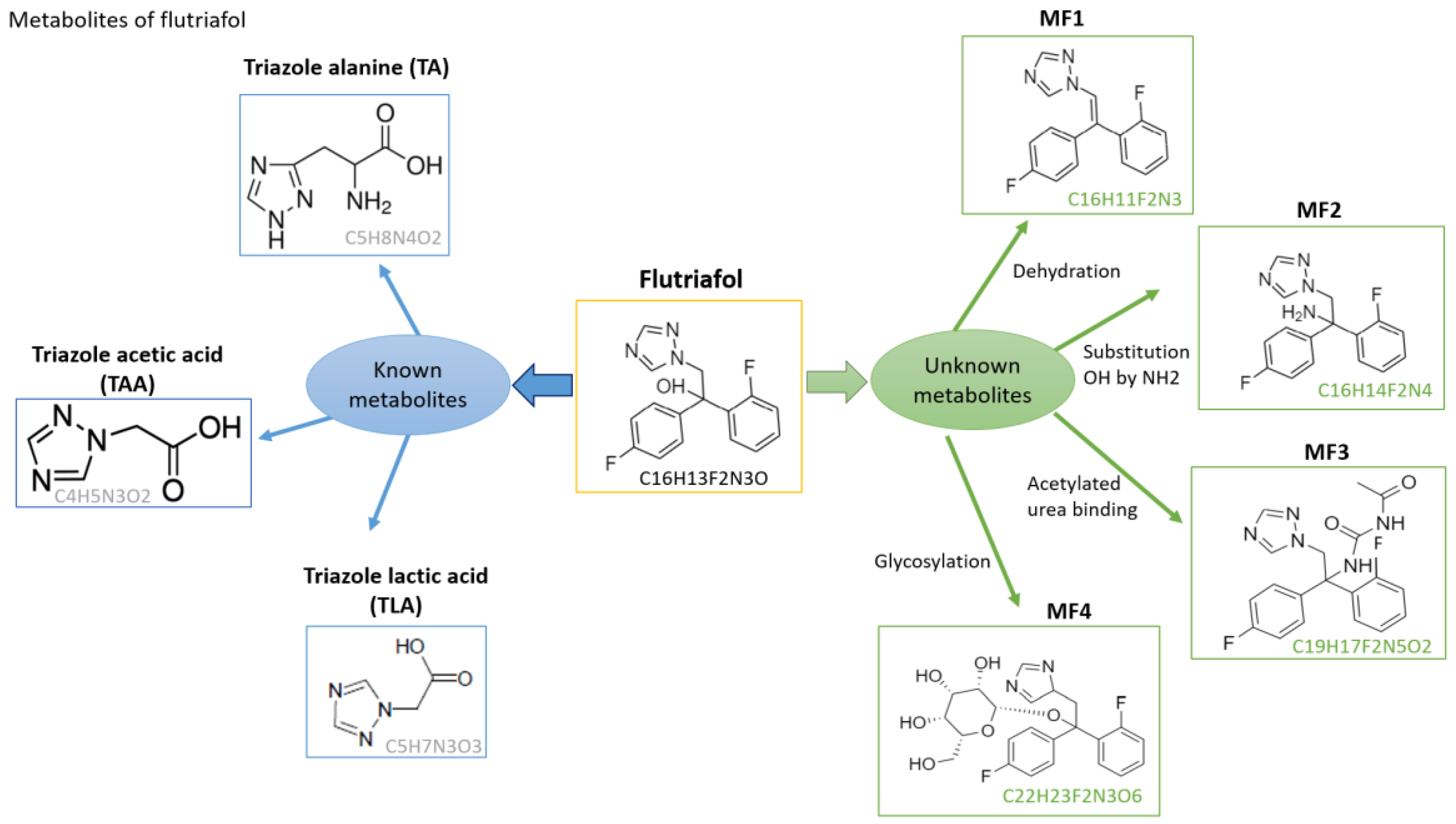 Foods 12 00201 g003 Foods 12 00201 g003