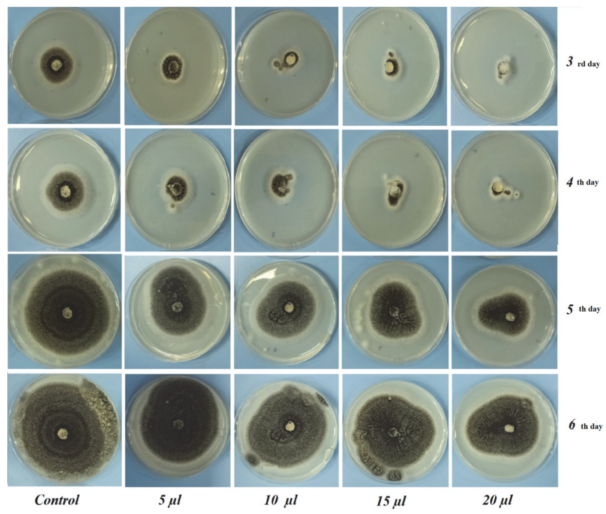 Foods 12 00203 g002 Foods 12 00203 g002