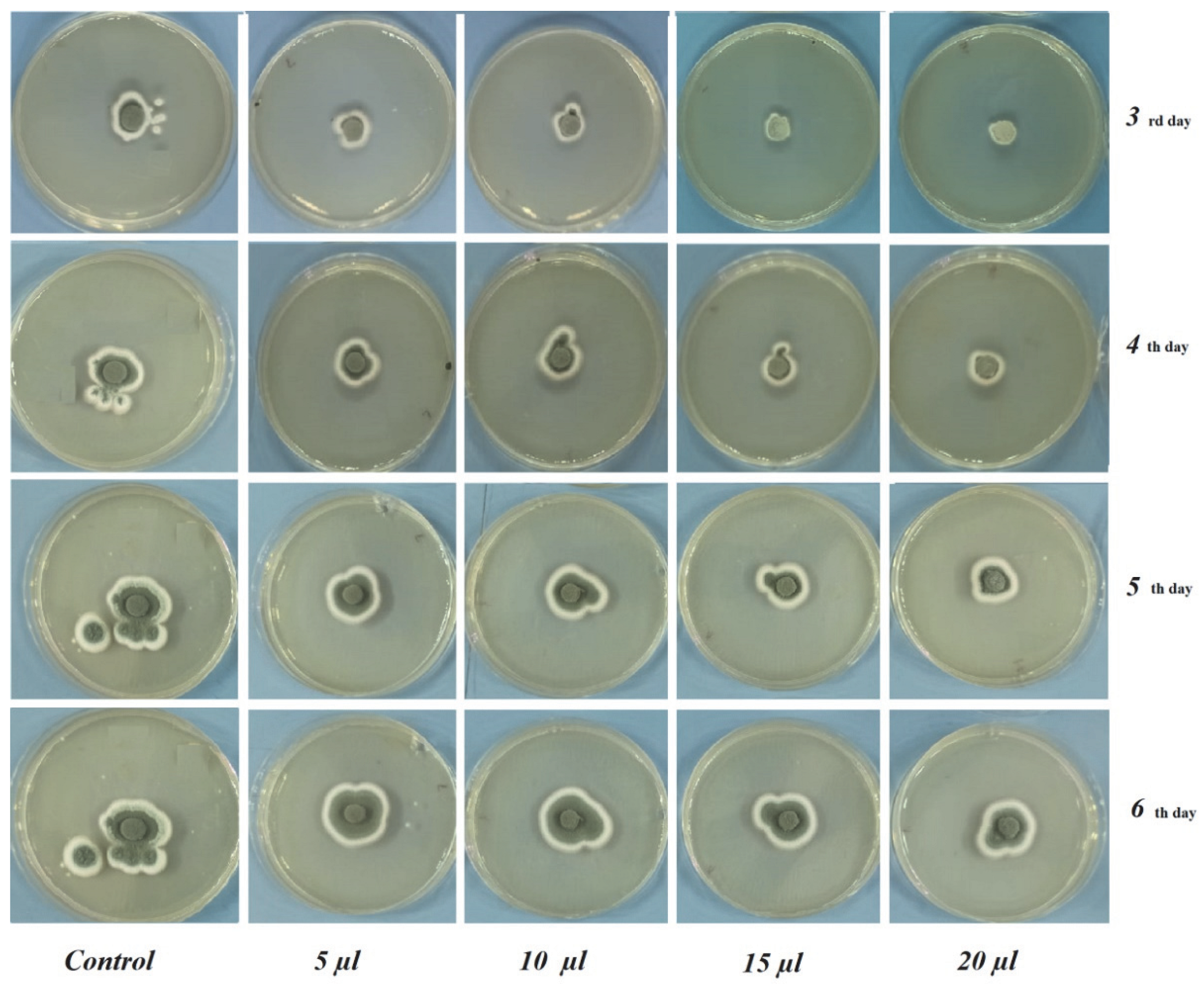 Foods 12 00203 g003 Foods 12 00203 g003