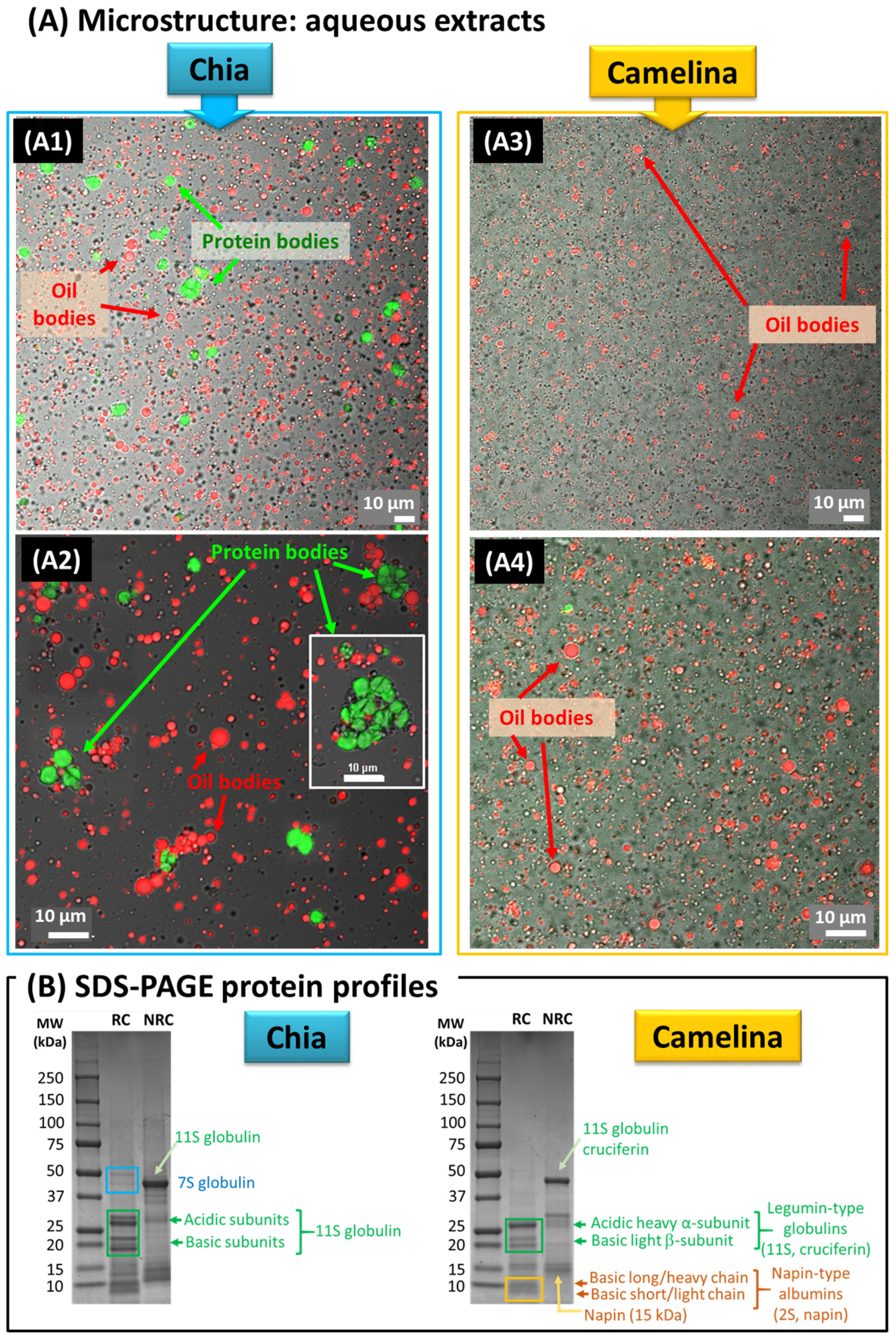Foods 12 00211 g002 Foods 12 00211 g002