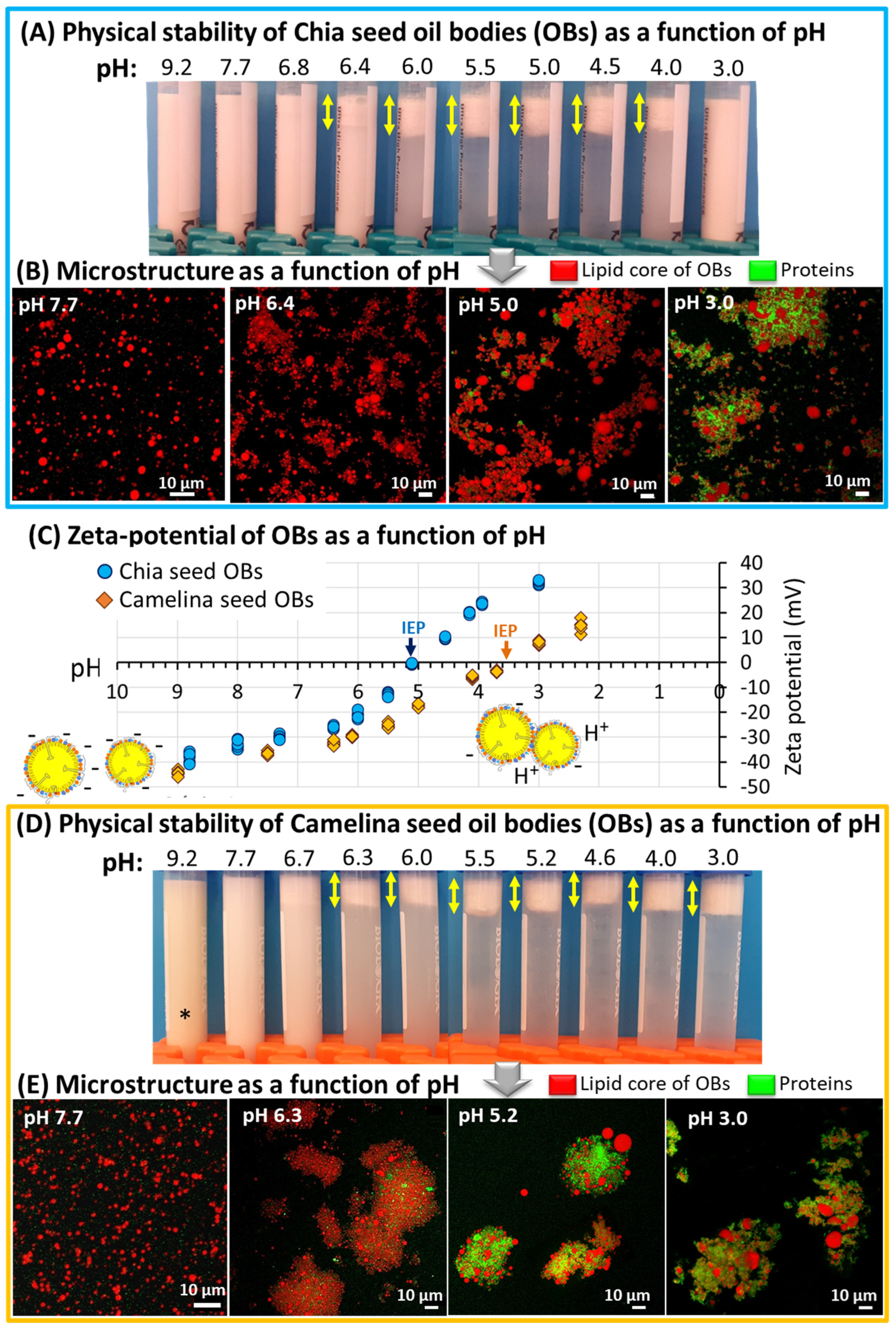 Foods 12 00211 g008 Foods 12 00211 g008
