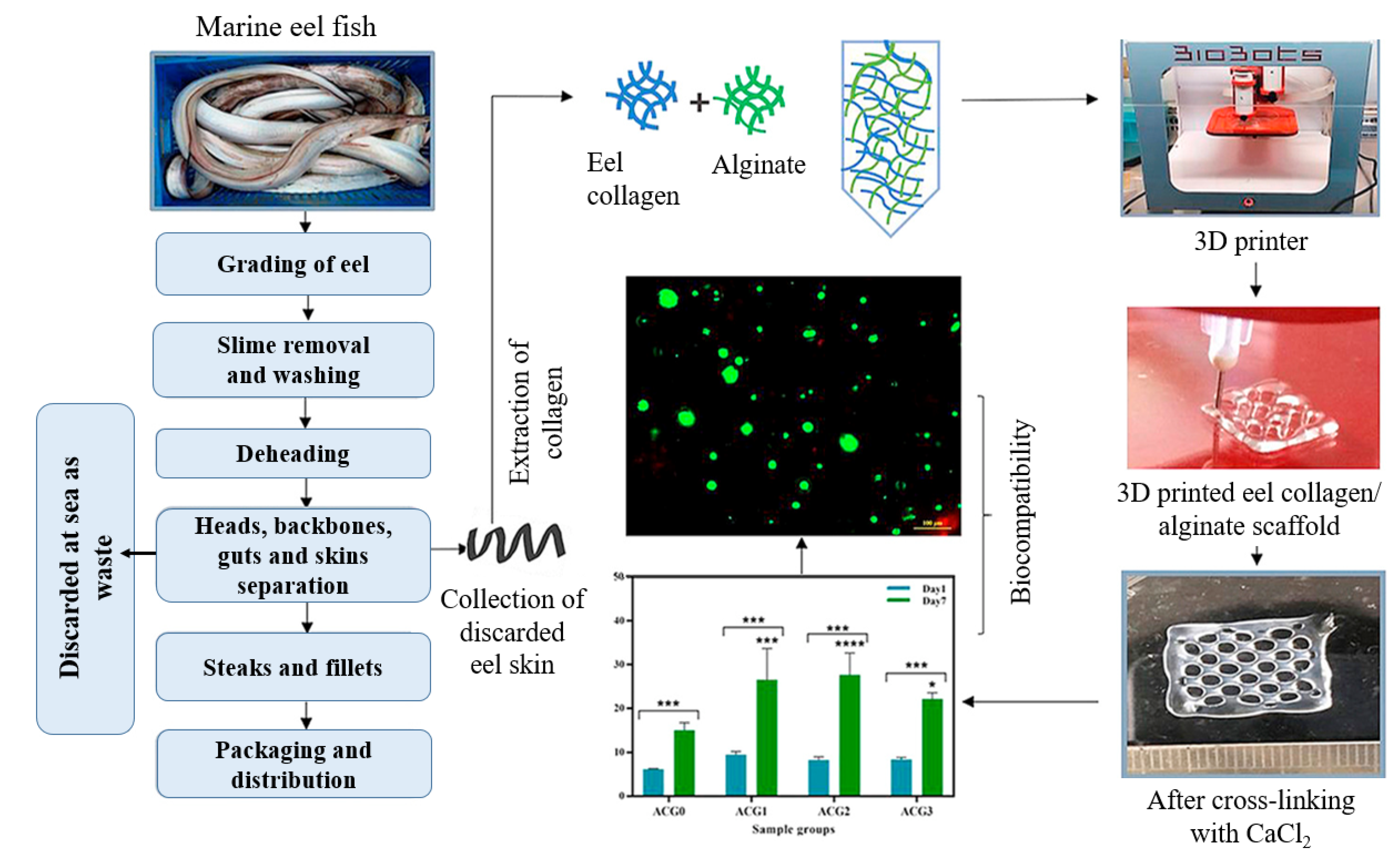 Foods 12 00212 g010 Foods 12 00212 g010