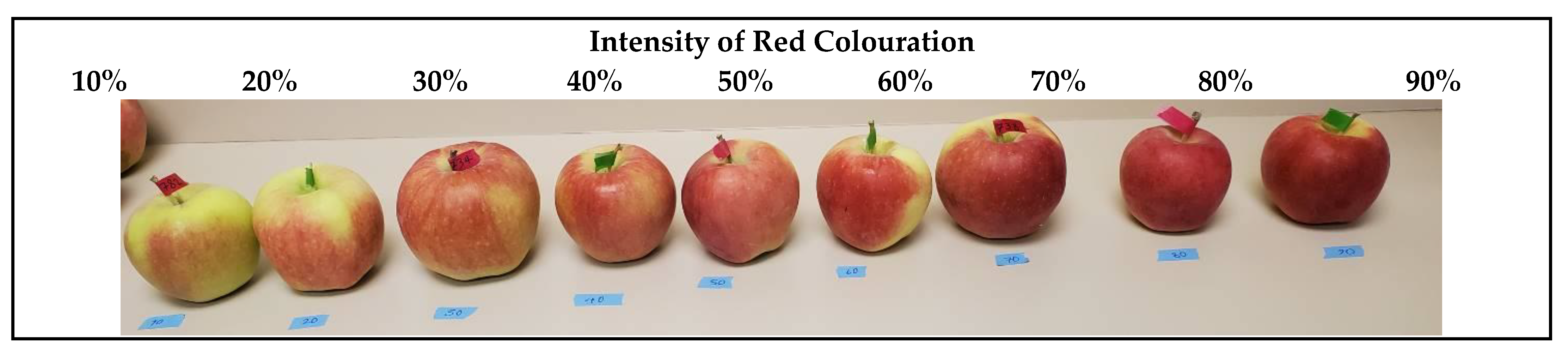 Foods 12 00219 g001 Foods 12 00219 g001