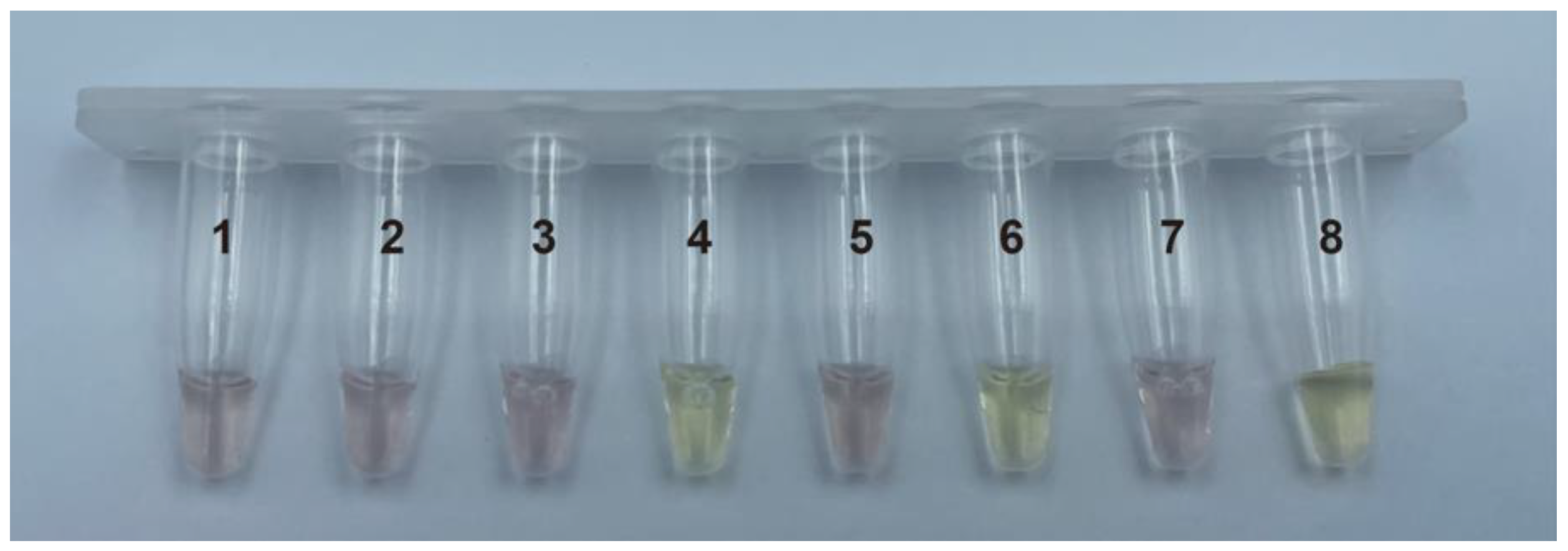 Foods 12 00236 g003 Foods 12 00236 g003