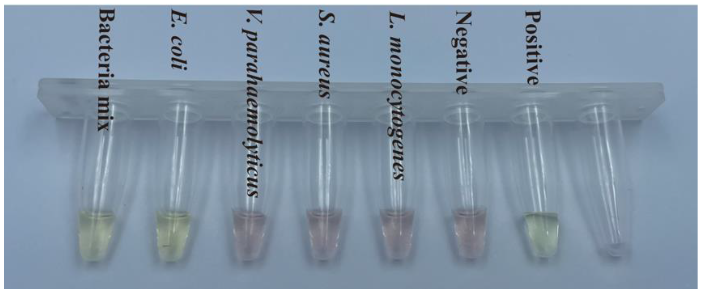 Foods 12 00236 g004 Foods 12 00236 g004