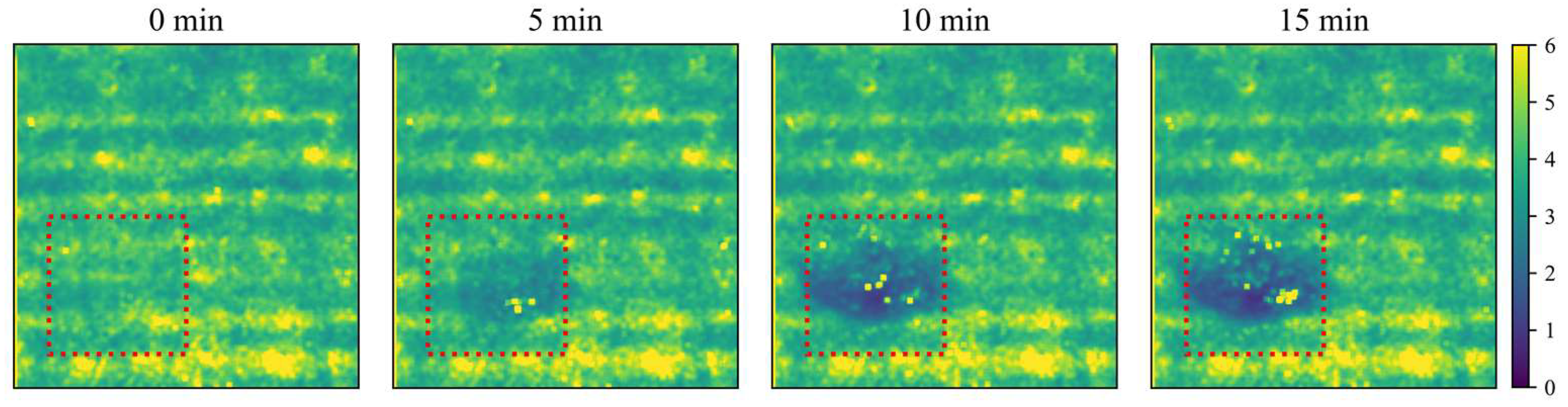 Foods Free FullText Extracting Tissue Optical Properties and