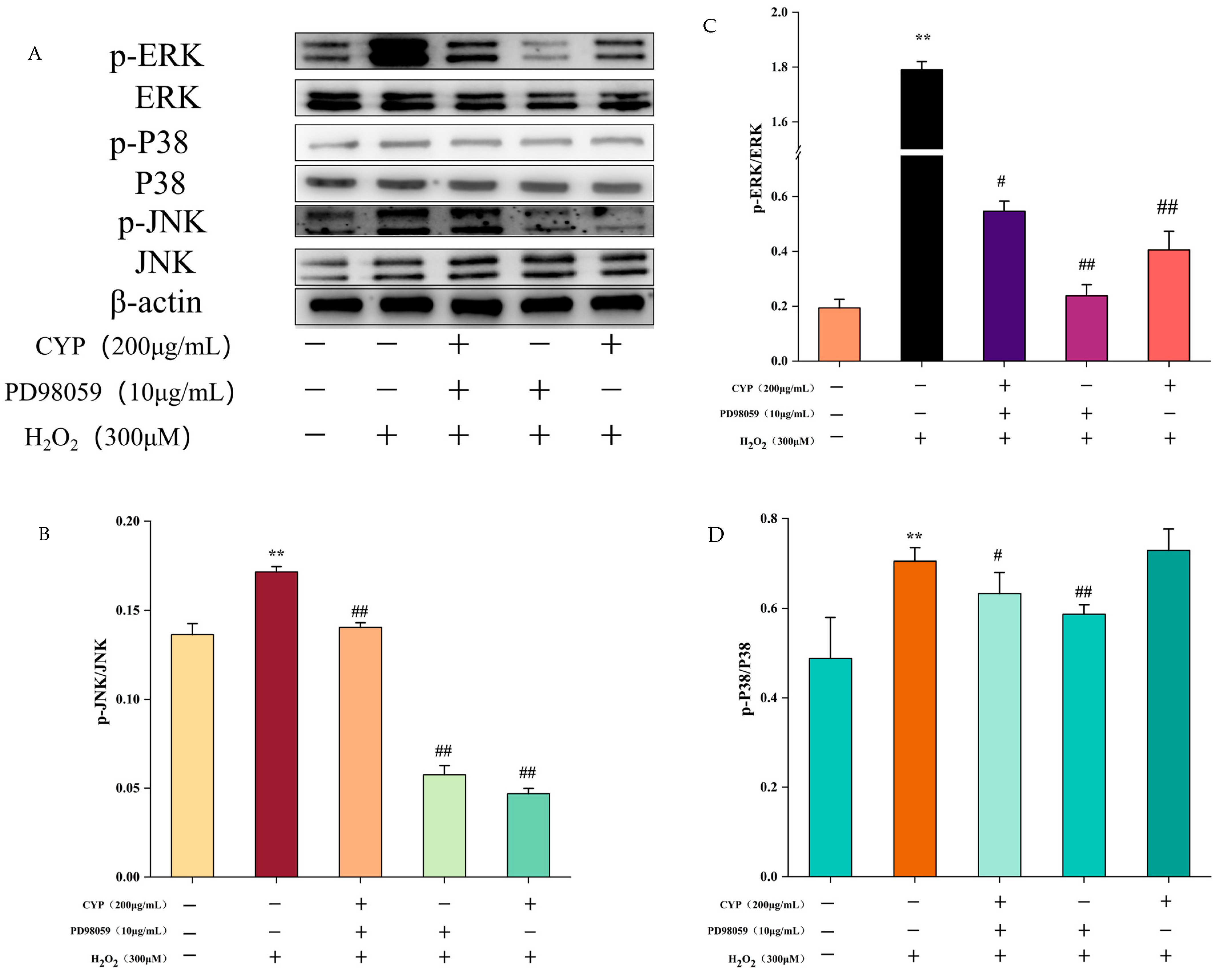 Foods 12 00262 g005 Foods 12 00262 g005
