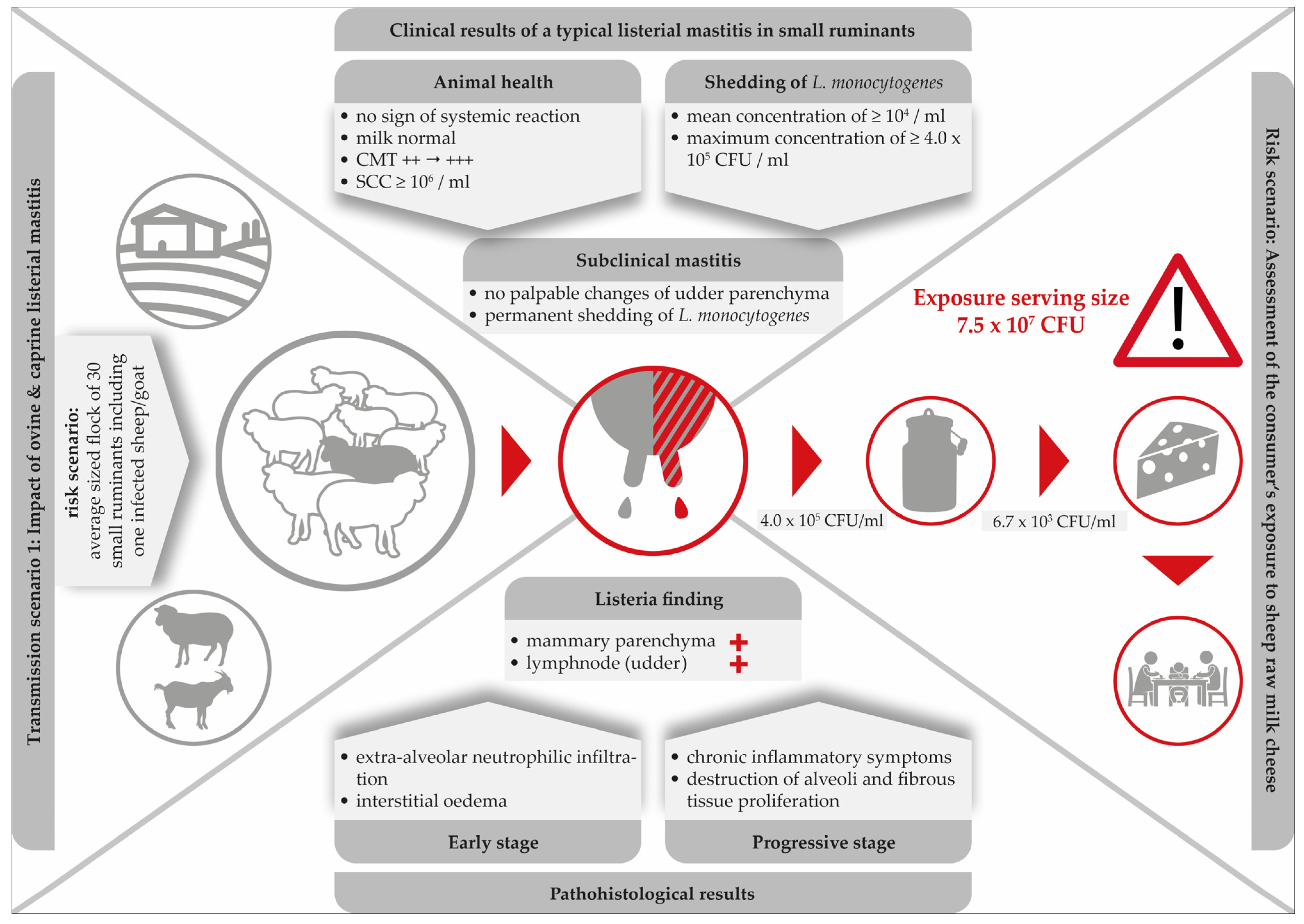 Foods 12 00265 g002 Foods 12 00265 g002
