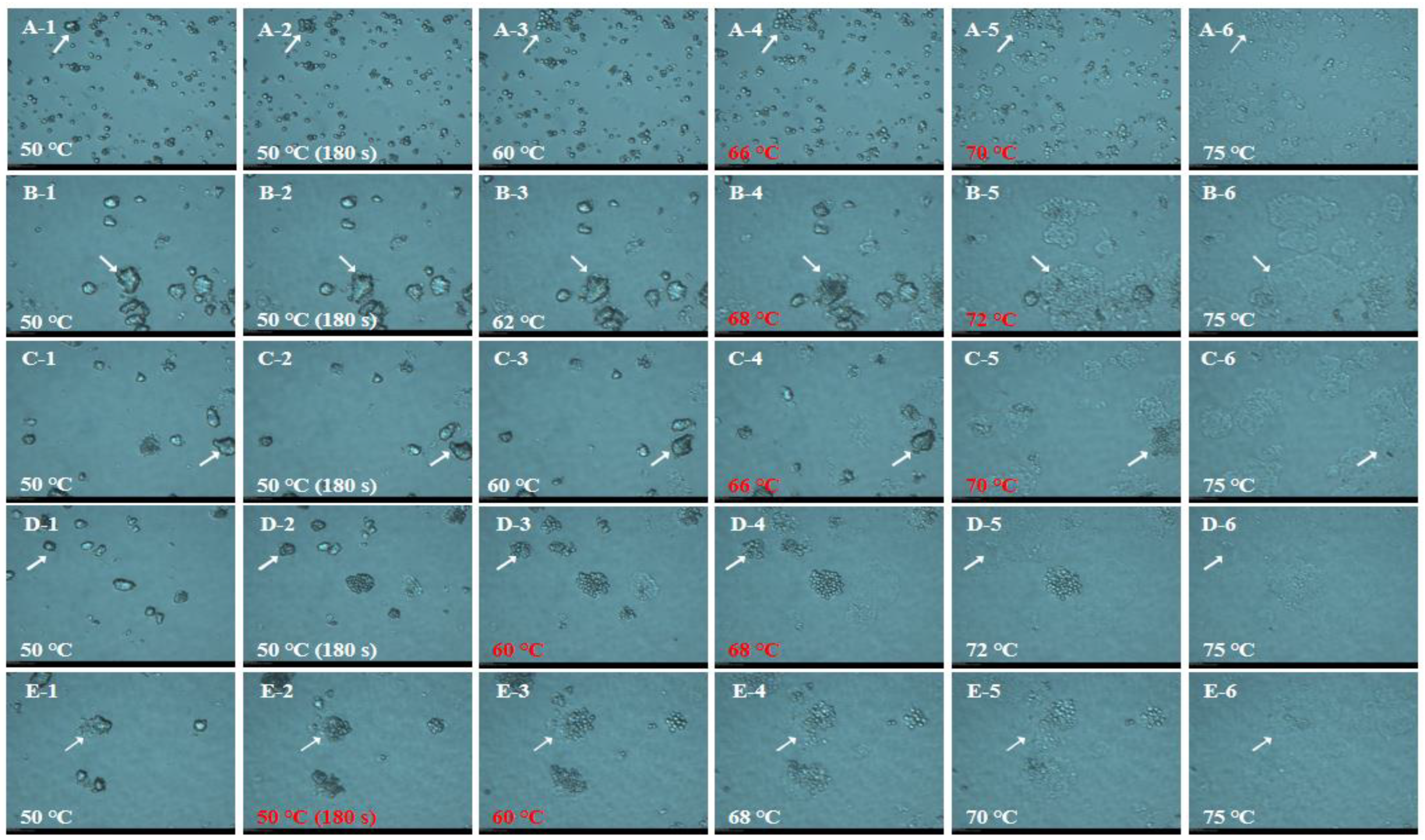 Foods 12 00280 g002 Foods 12 00280 g002