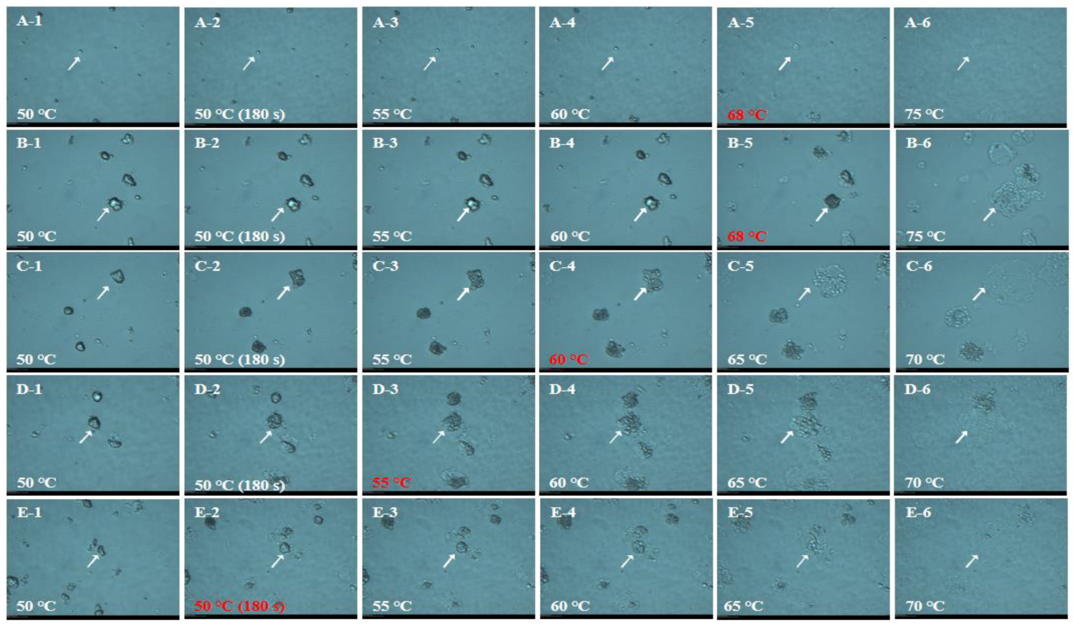 Foods 12 00280 g003 Foods 12 00280 g003