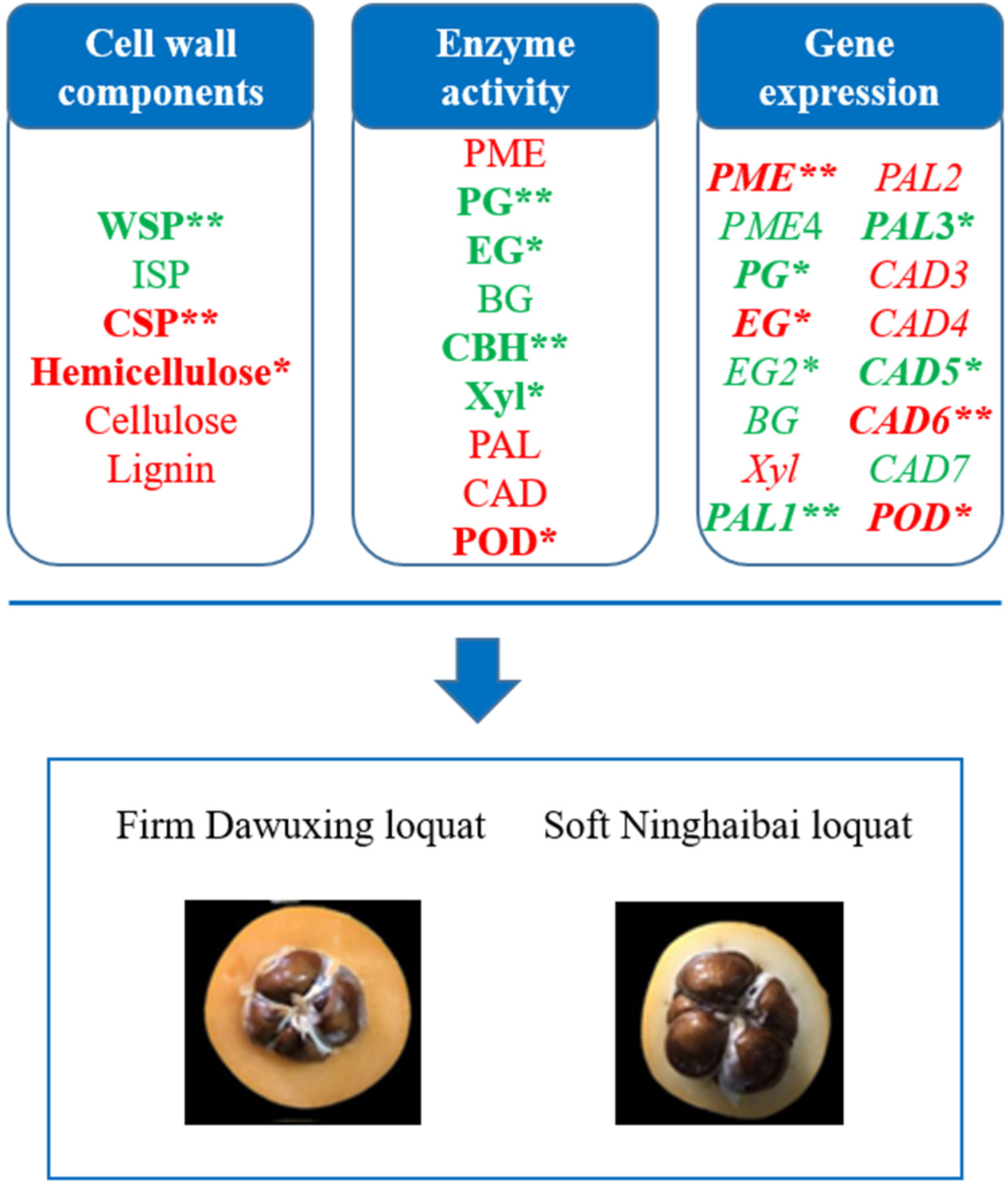 Foods 12 00309 g005 Foods 12 00309 g005
