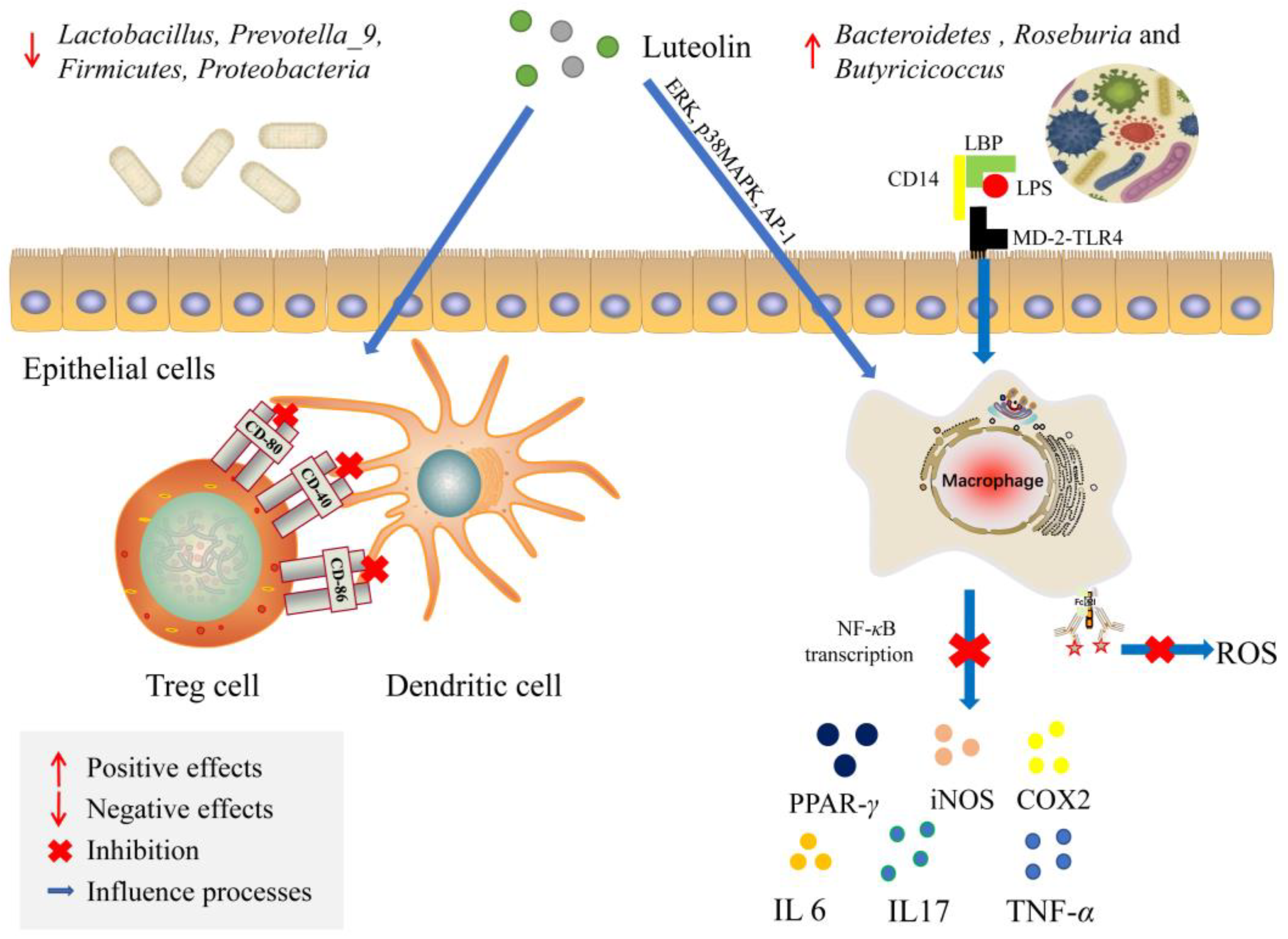 Foods 12 00320 g002 Foods 12 00320 g002