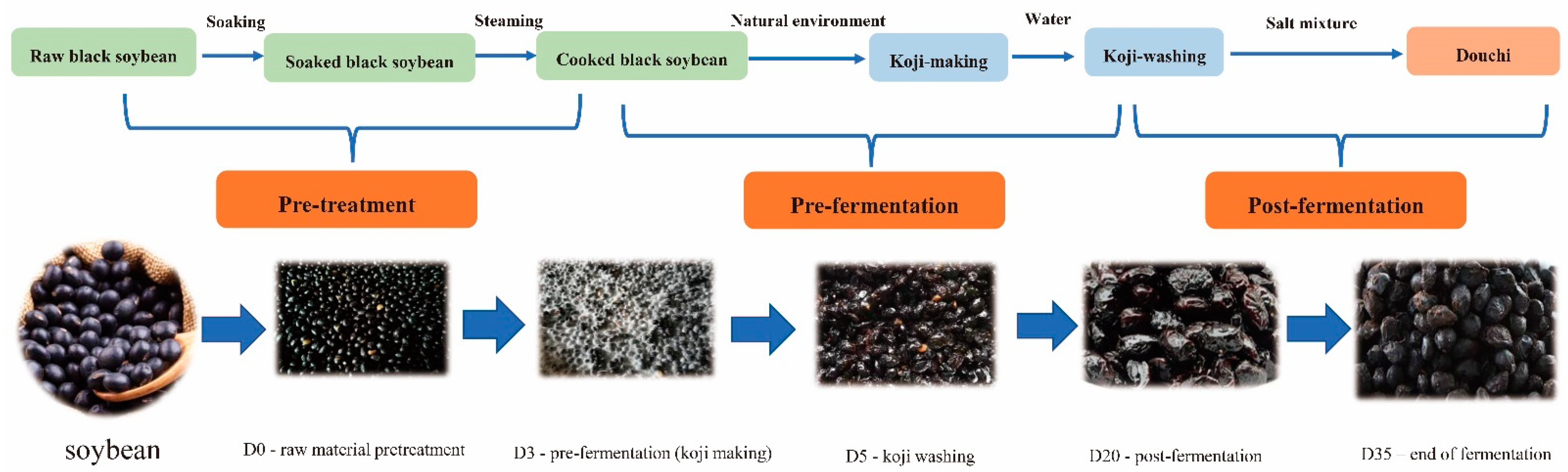 Foods 12 00329 g001 Foods 12 00329 g001