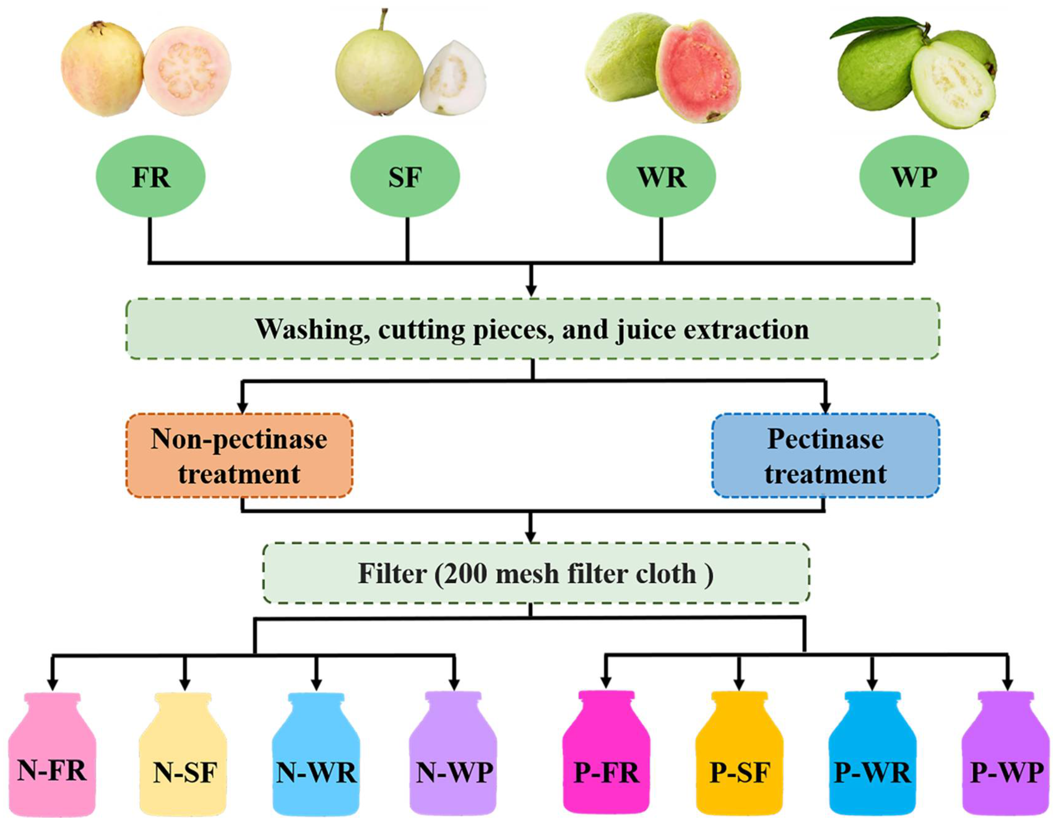 Foods Free FullText Effects of Pectinase PreTreatment on the