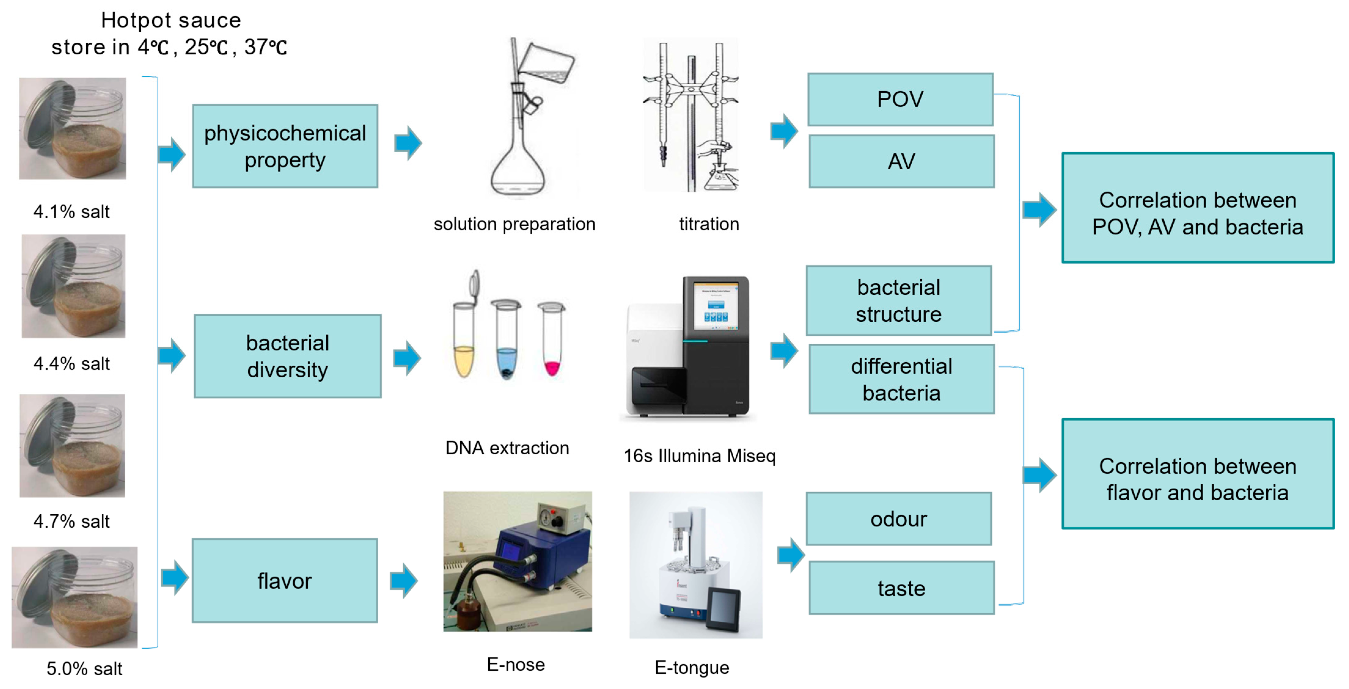 テスト Variation and Correlation Analysis of Flavour and Bacterial