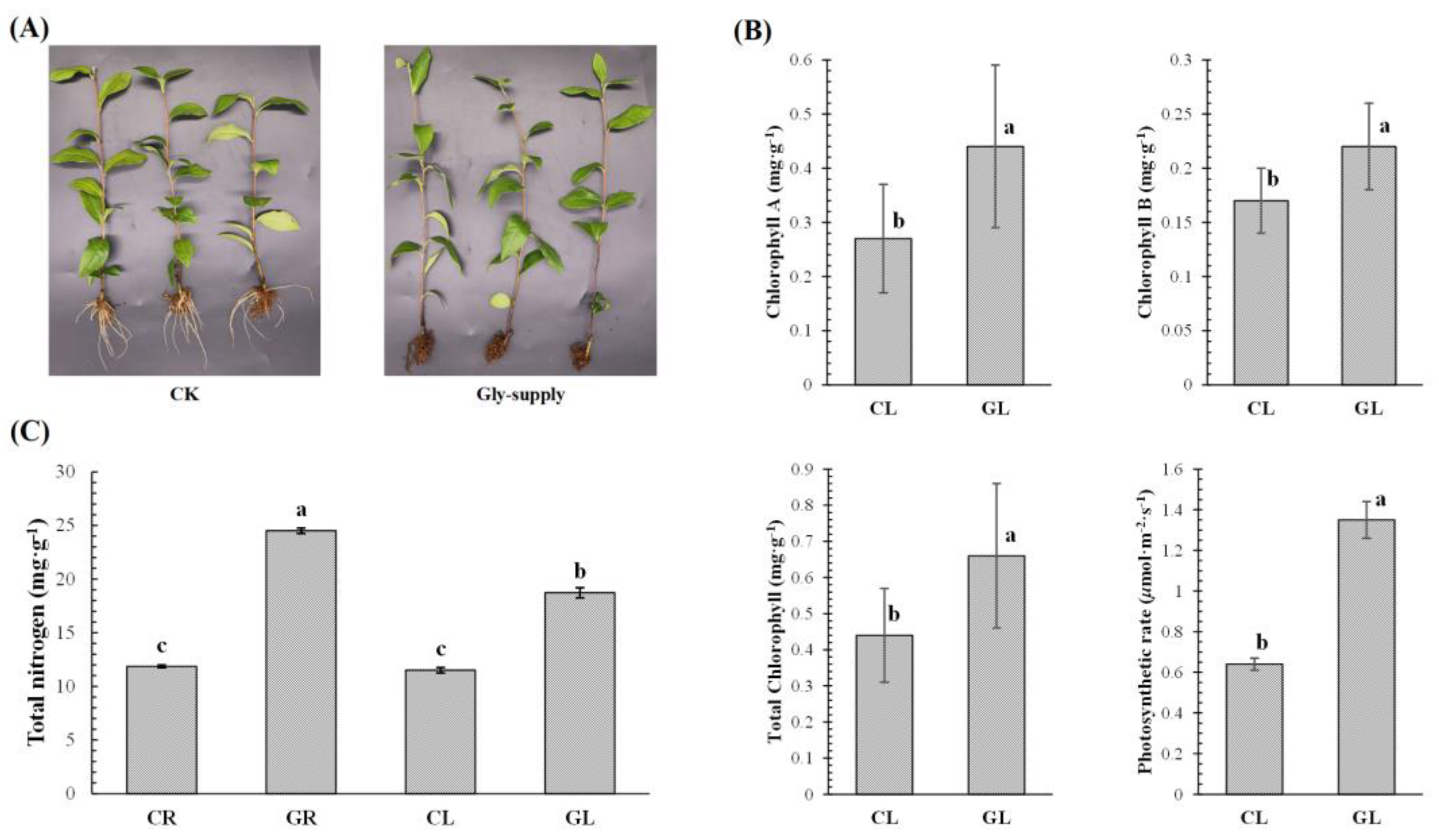 Foods 12 00334 g001 Foods 12 00334 g001