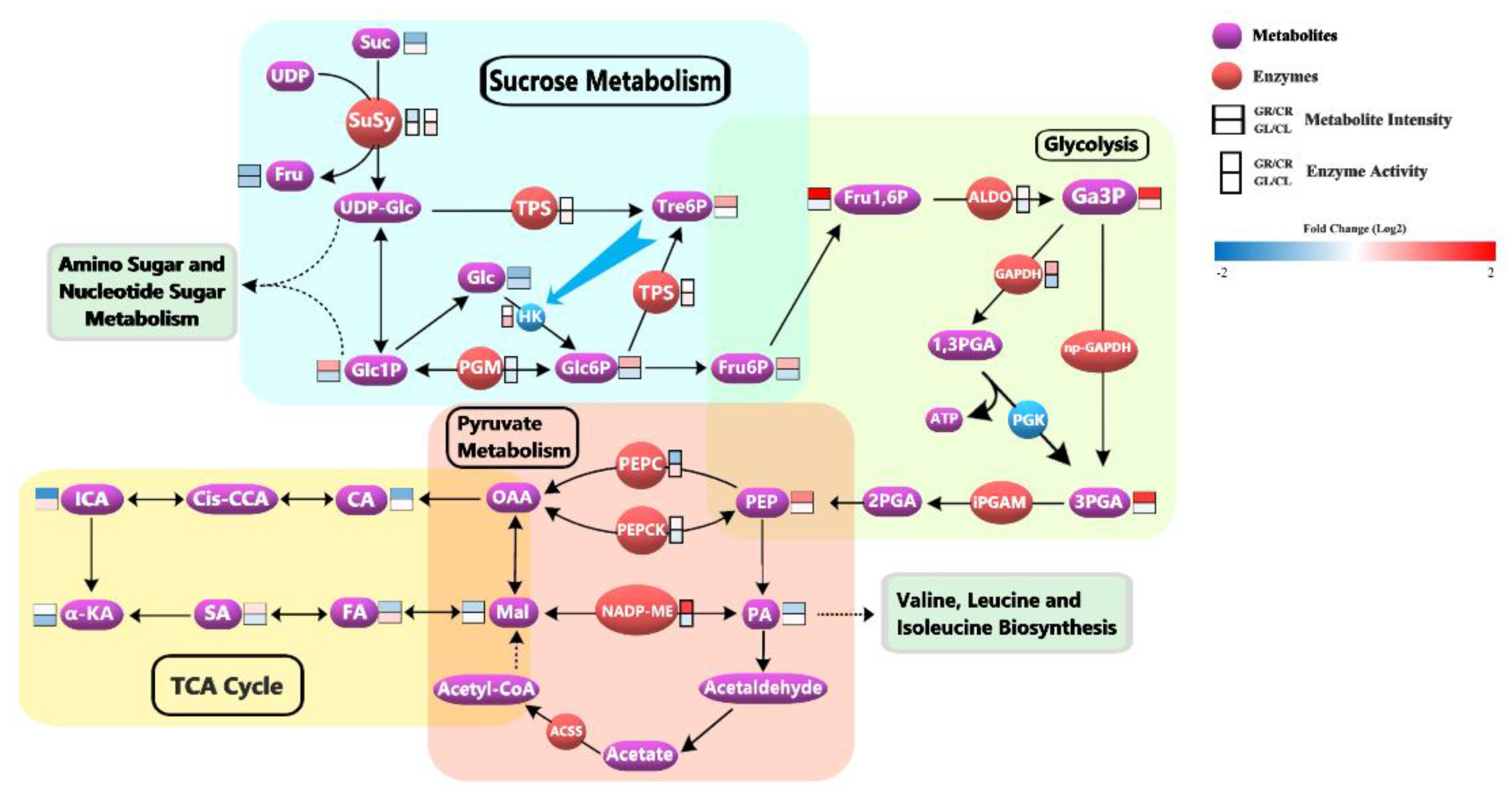 Foods 12 00334 g002 Foods 12 00334 g002