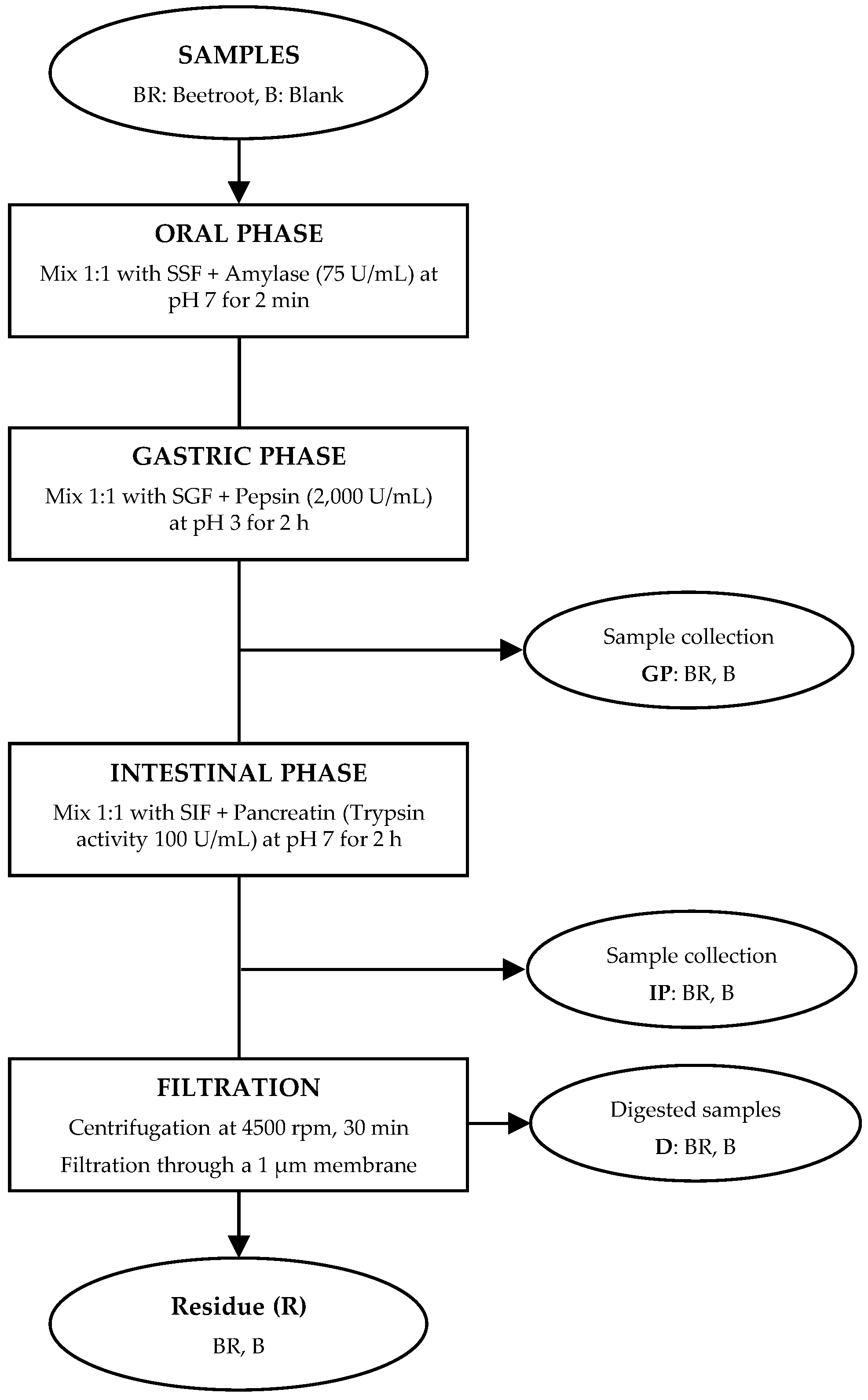 Foods 12 00338 g001 Foods 12 00338 g001