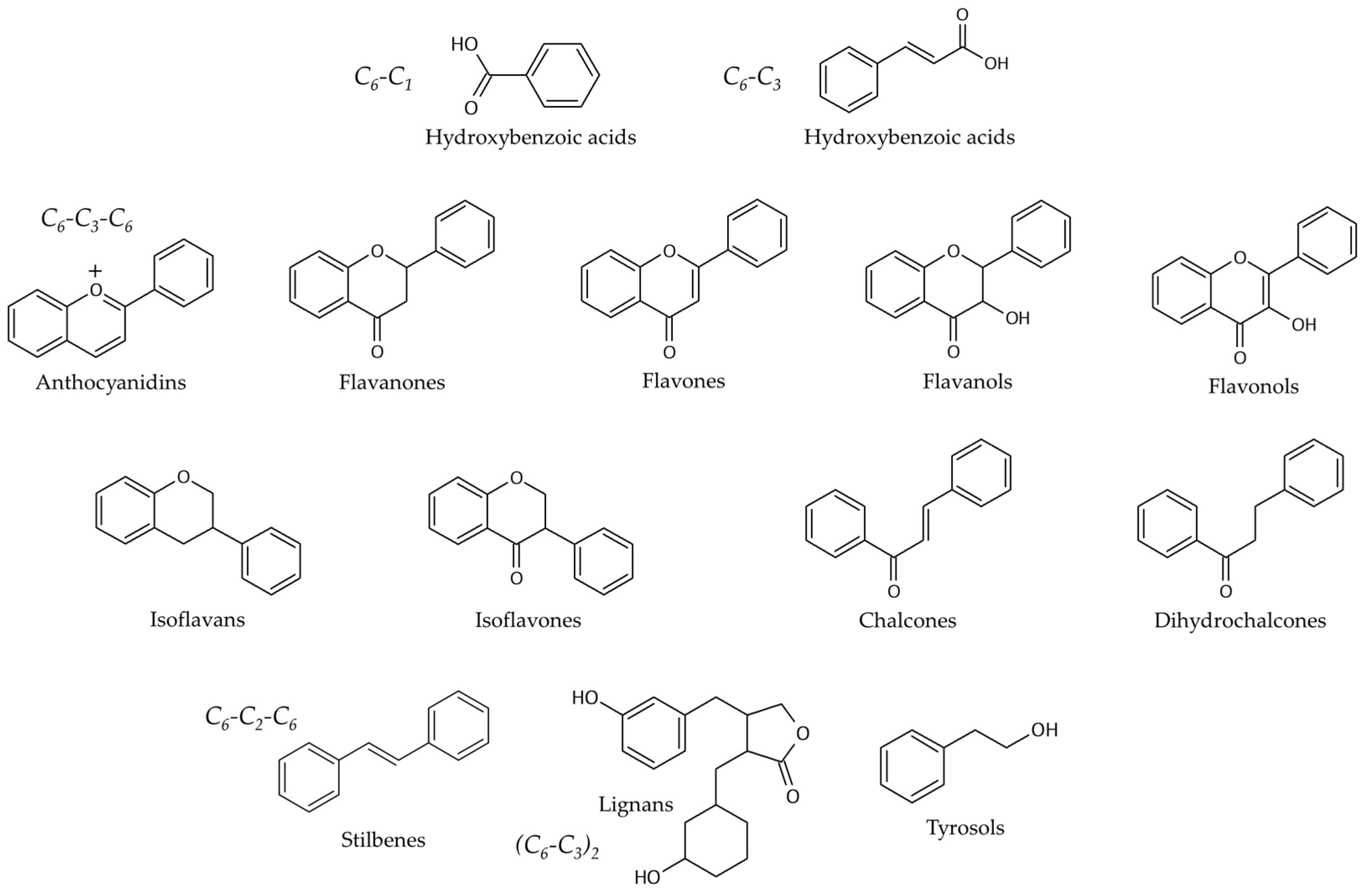 Foods 12 00343 g001 Foods 12 00343 g001