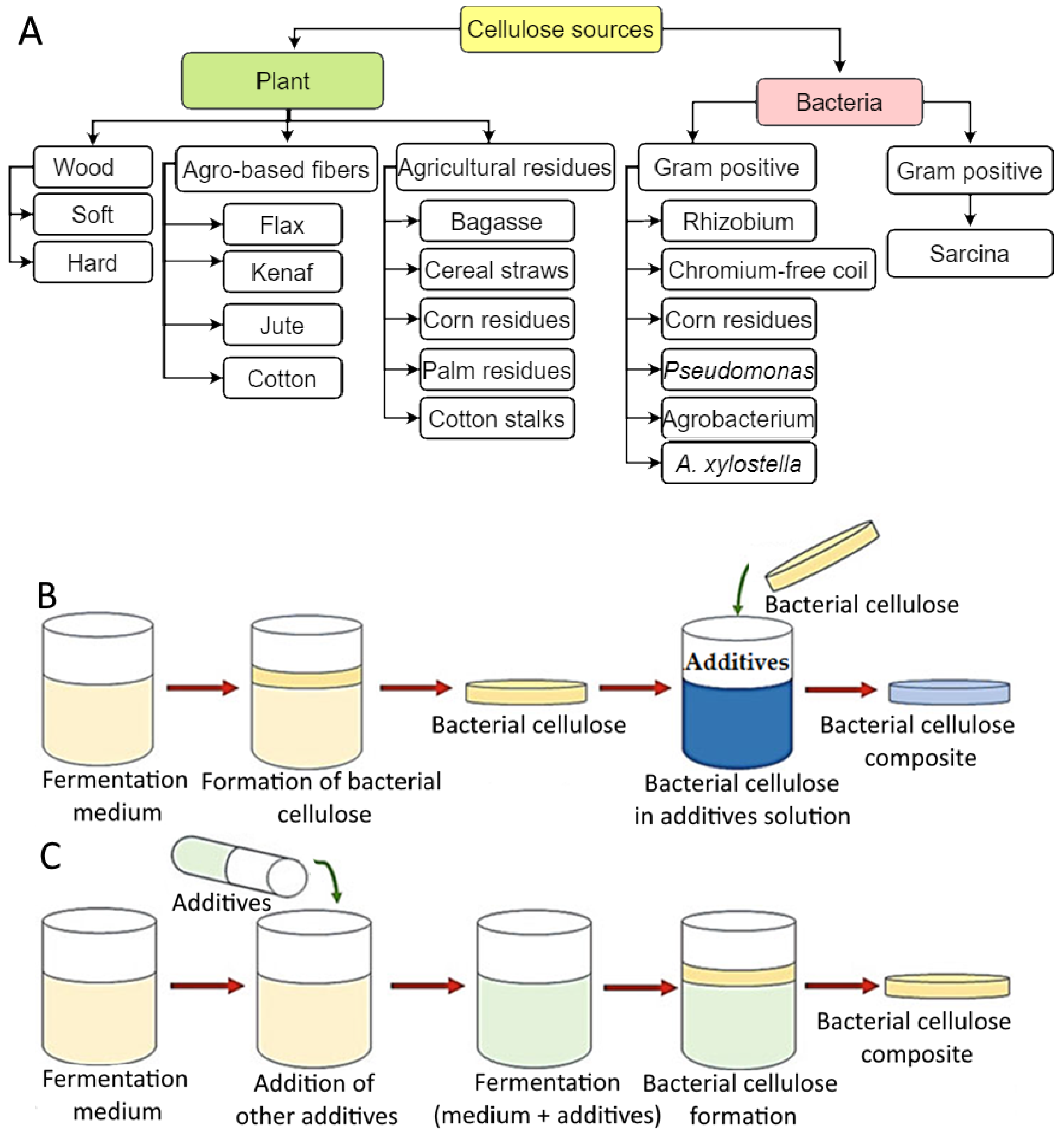 Foods 12 00350 g001 Foods 12 00350 g001