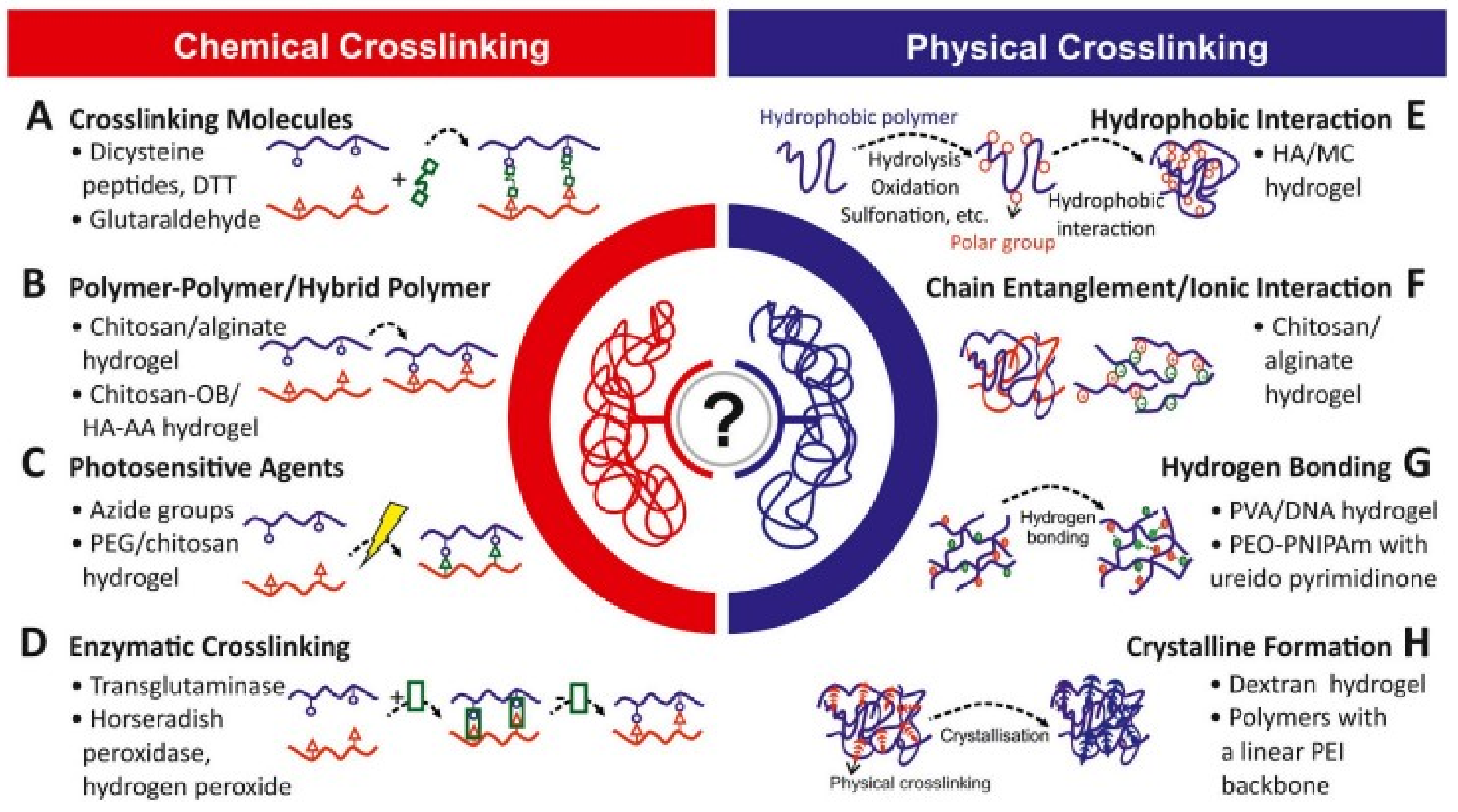 Foods 12 00350 g003 Foods 12 00350 g003