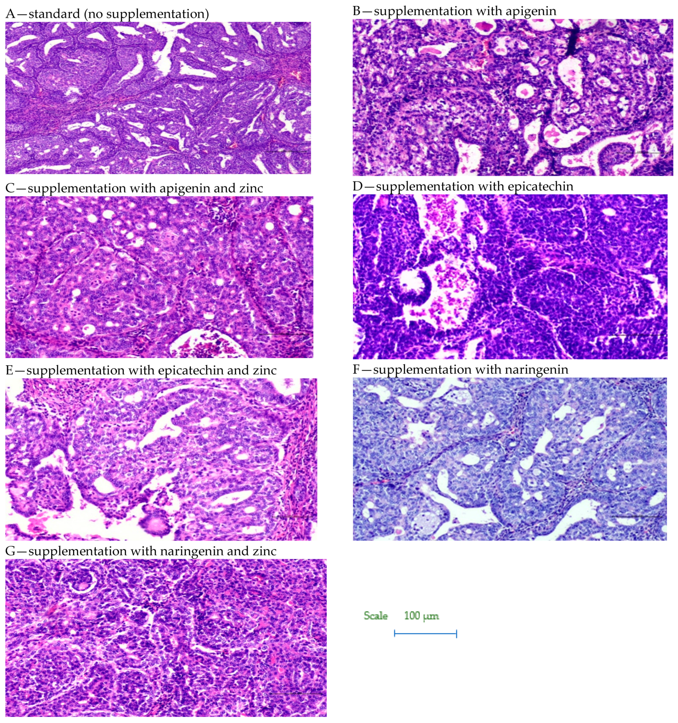 Foods 12 00356 g003 Foods 12 00356 g003