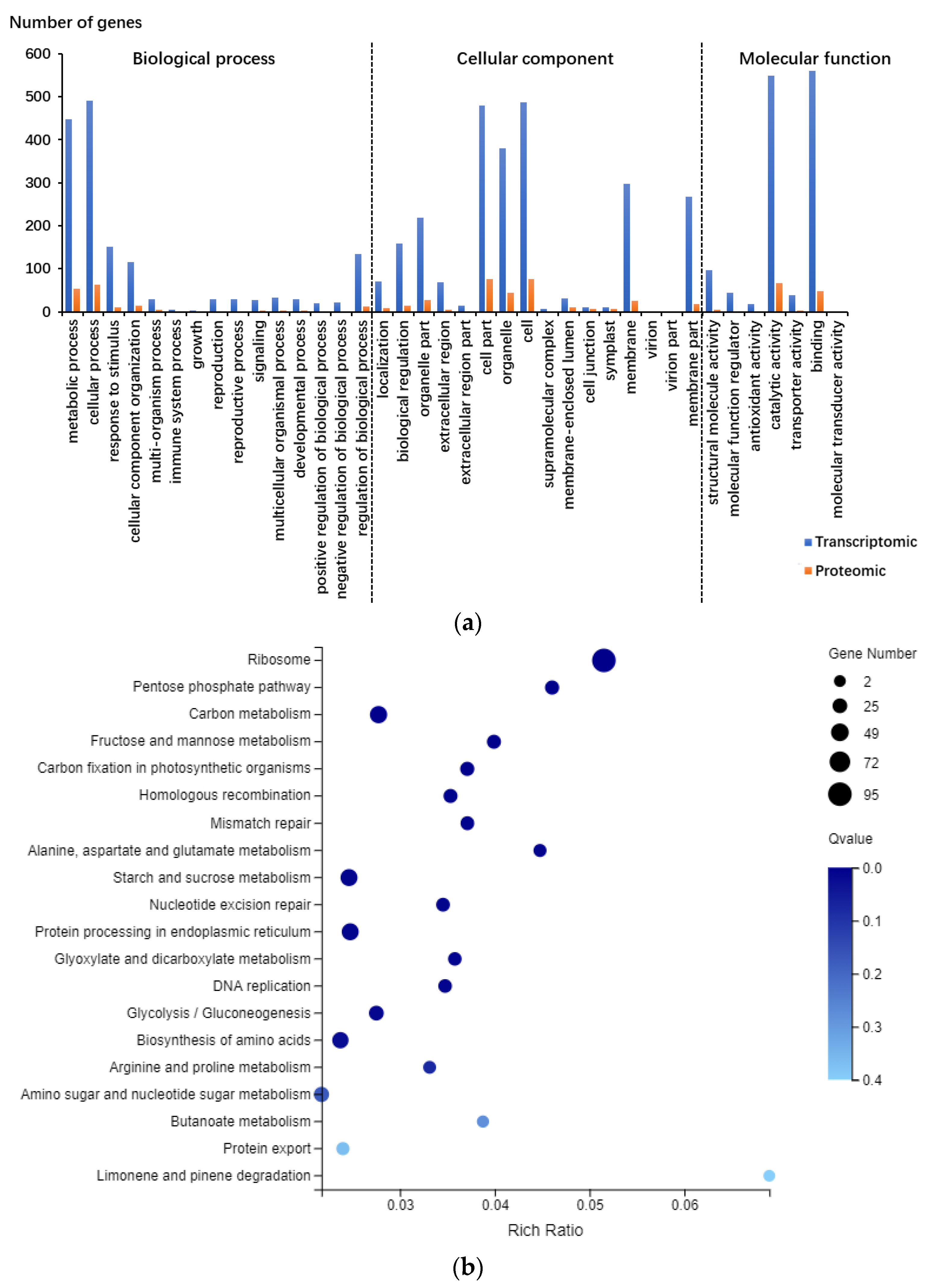 Foods 12 00361 g001a