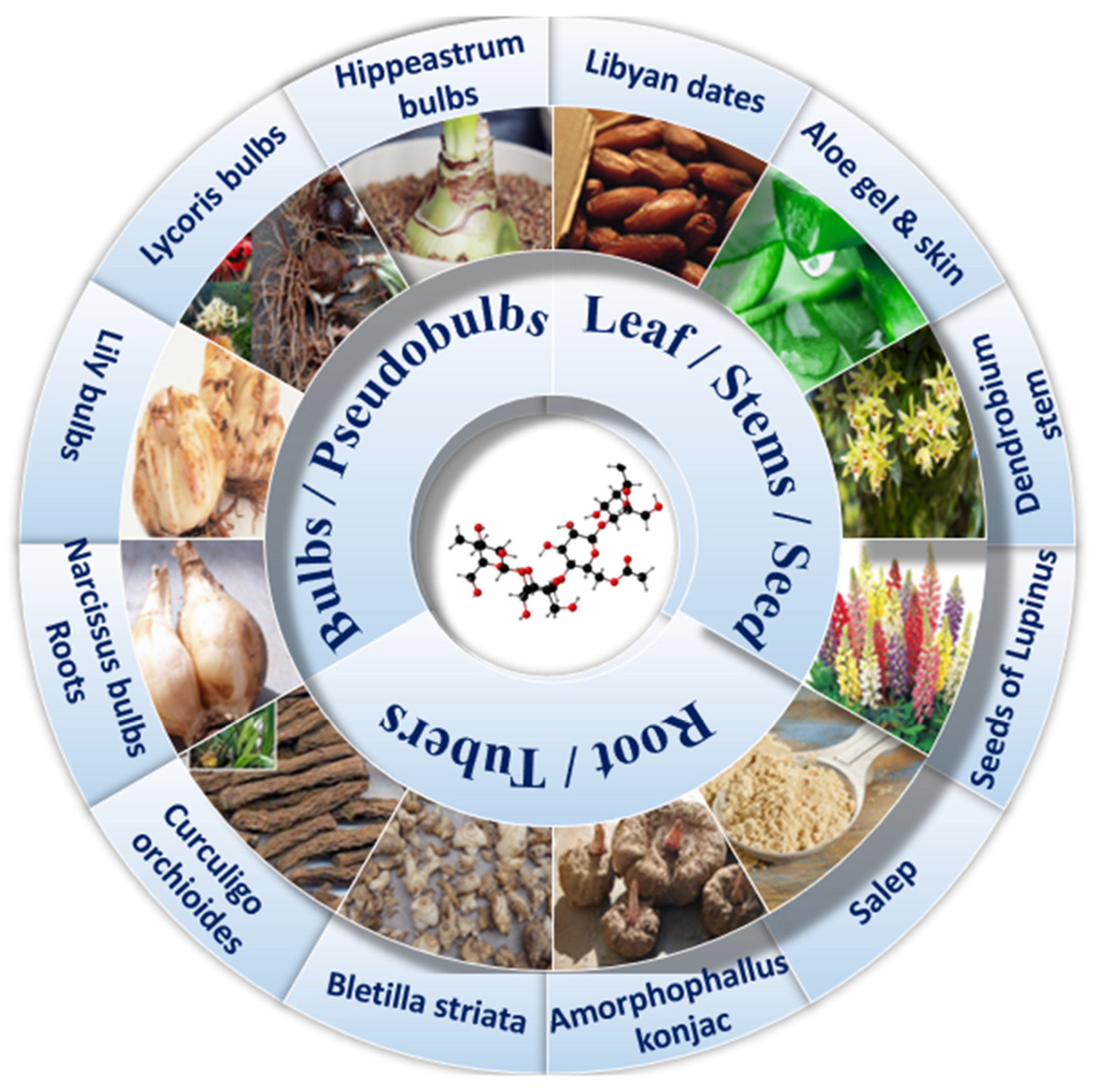 Foods 12 00363 g001 Foods 12 00363 g001