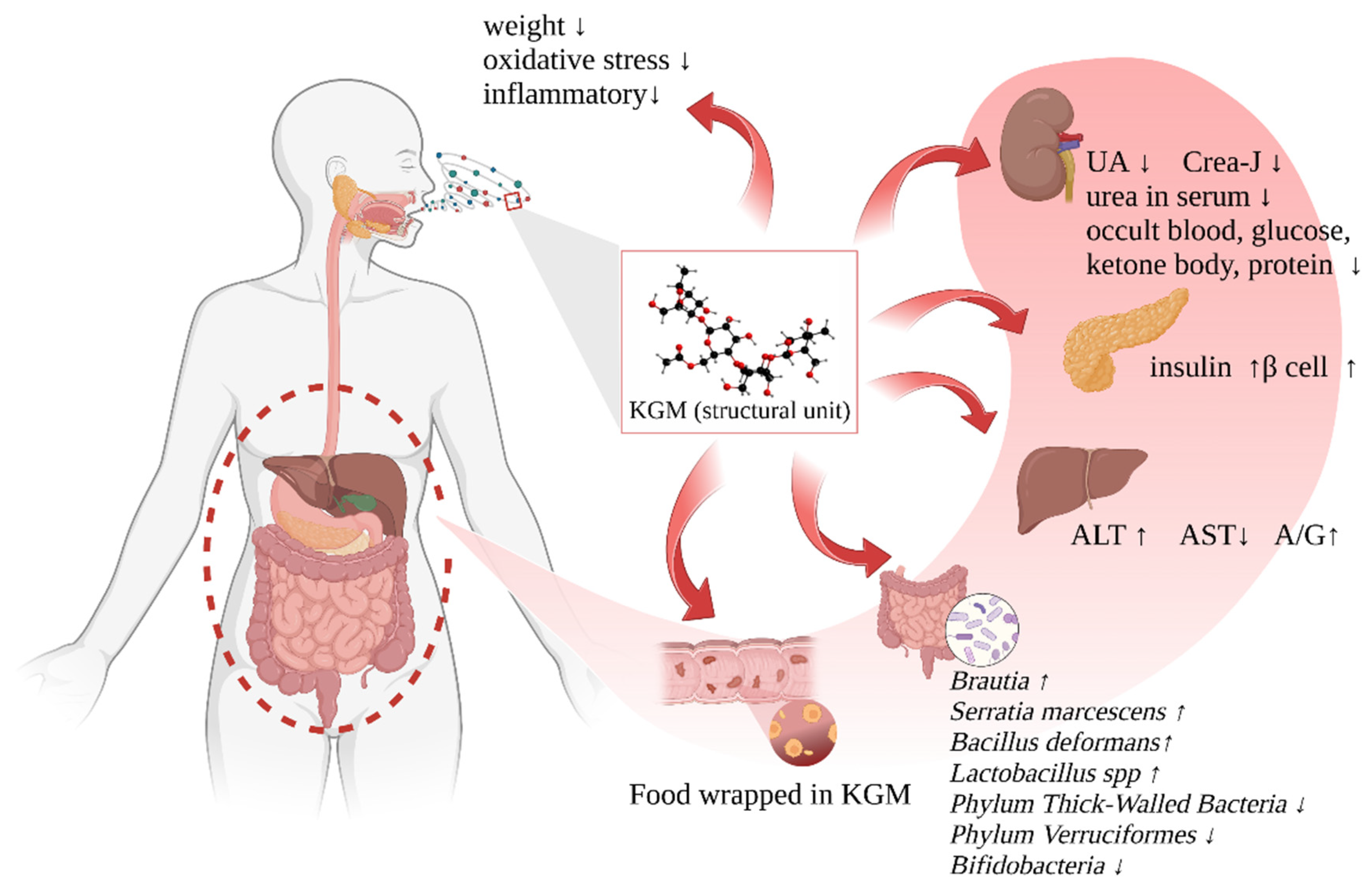 Foods 12 00363 g005 Foods 12 00363 g005