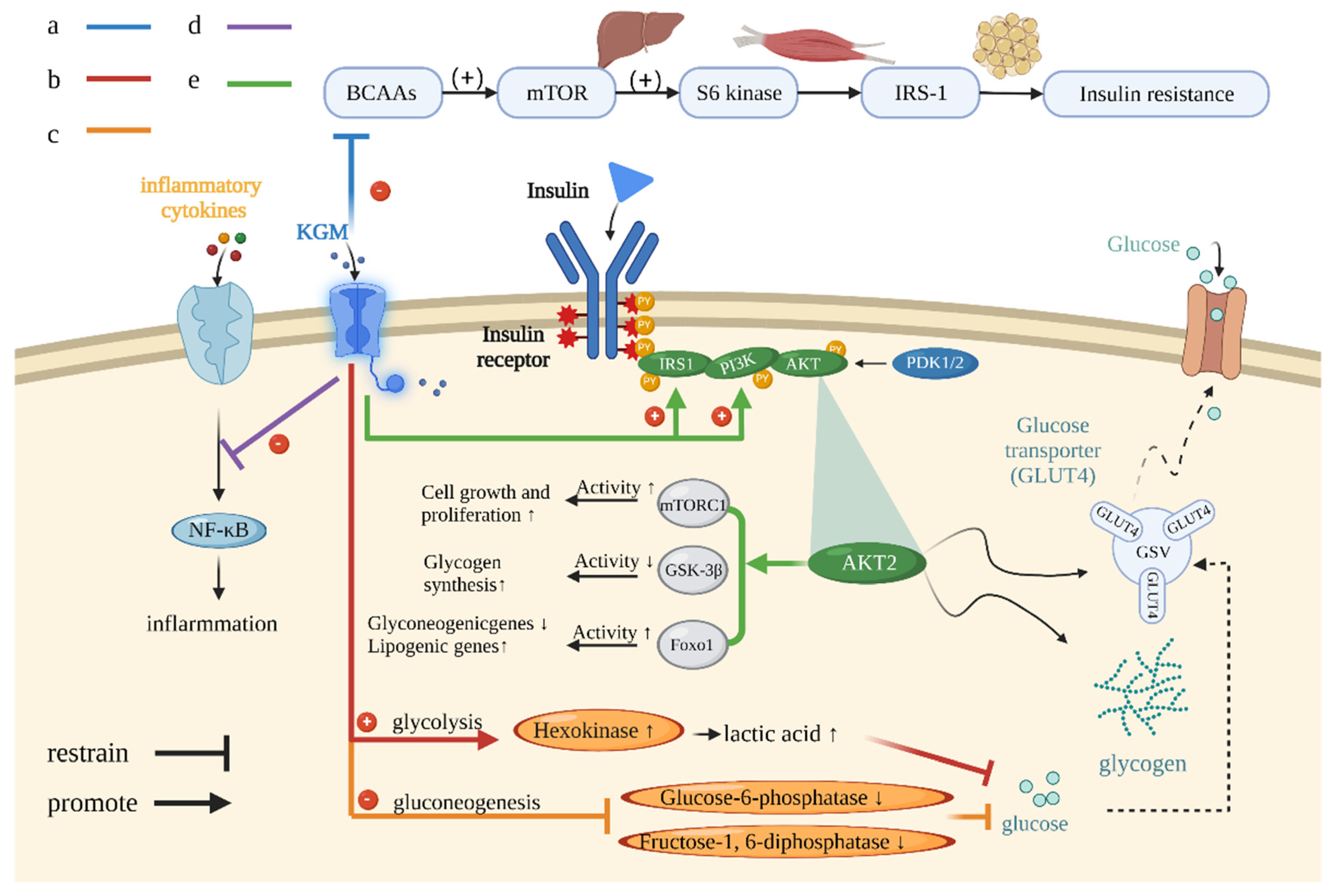Foods 12 00363 g006 Foods 12 00363 g006