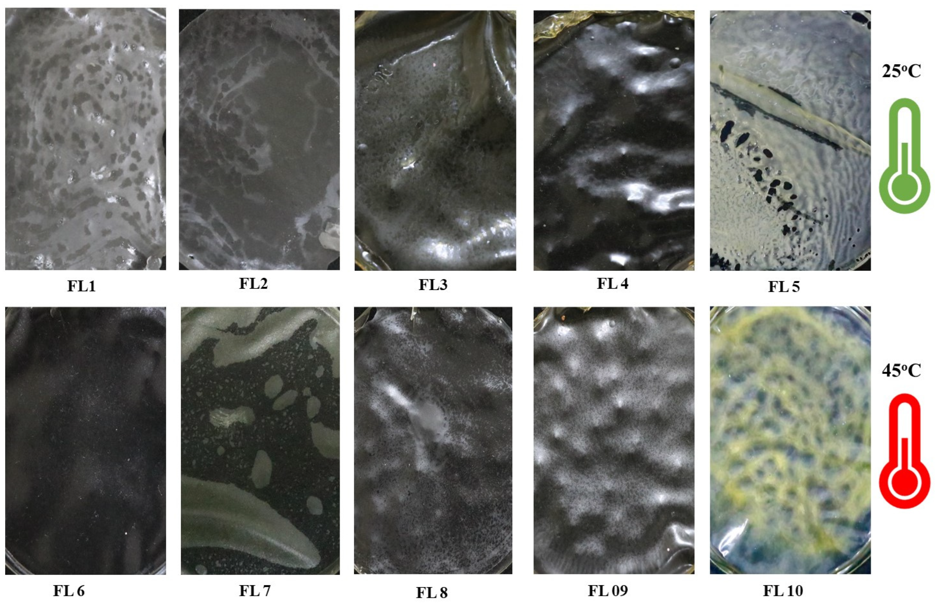 Foods 12 00364 g001 Foods 12 00364 g001