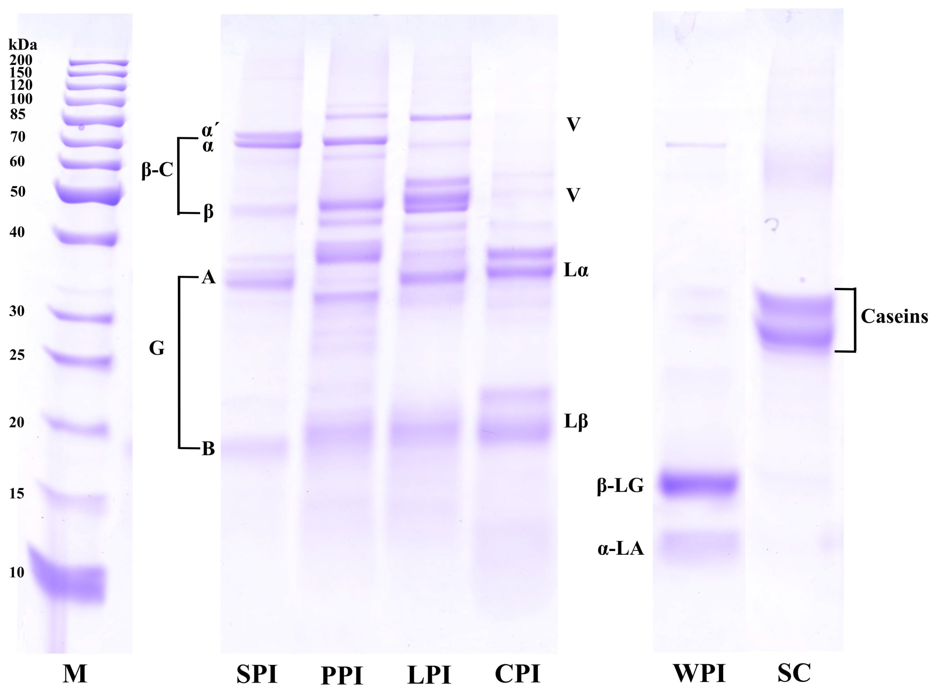 Foods 12 00368 g002 Foods 12 00368 g002