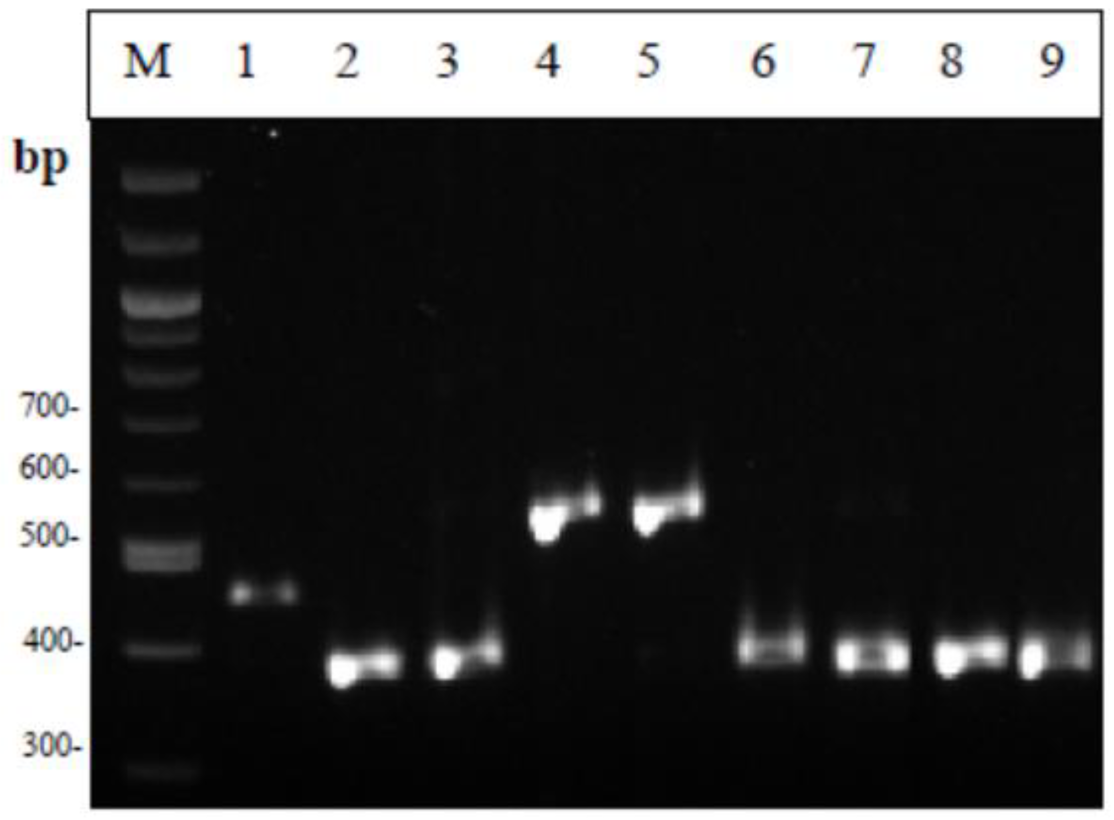 Foods 12 00370 g002 Foods 12 00370 g002