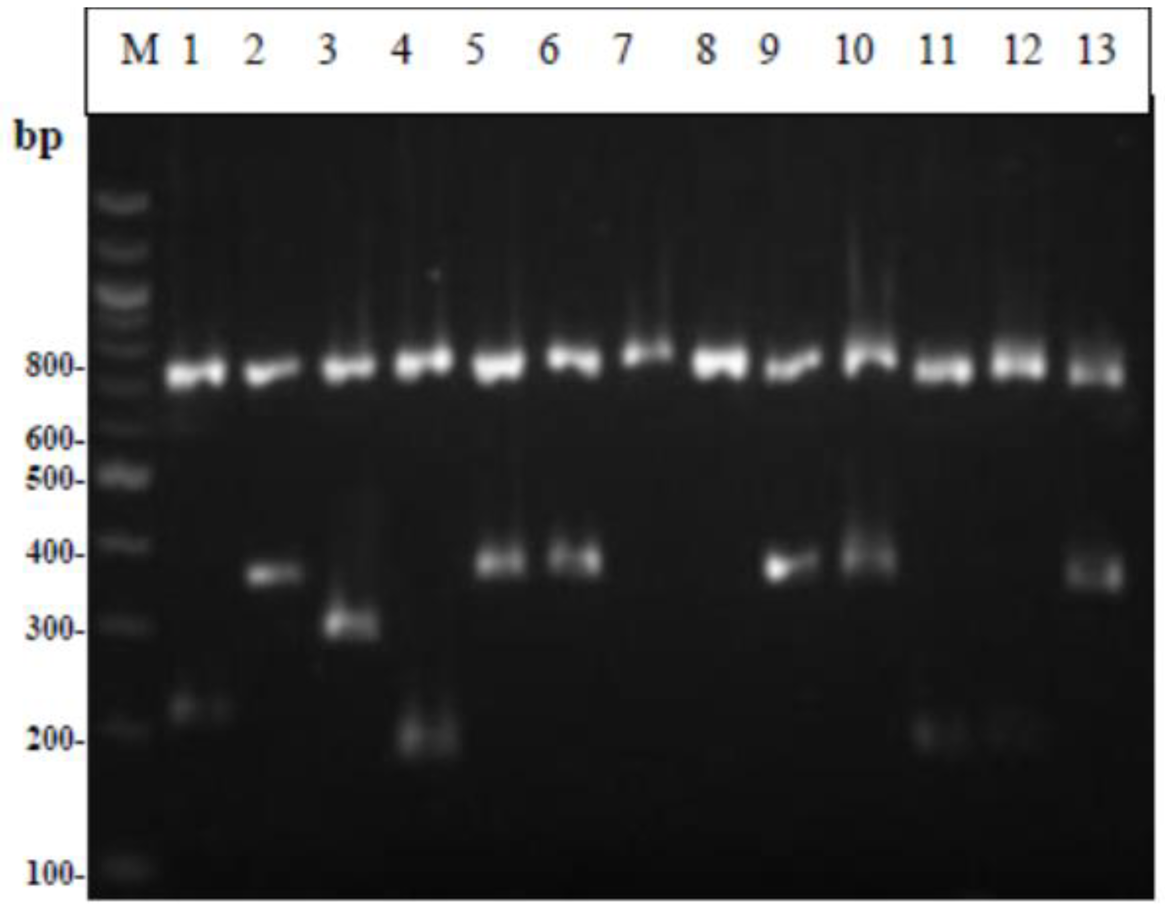 Foods 12 00370 g004 Foods 12 00370 g004