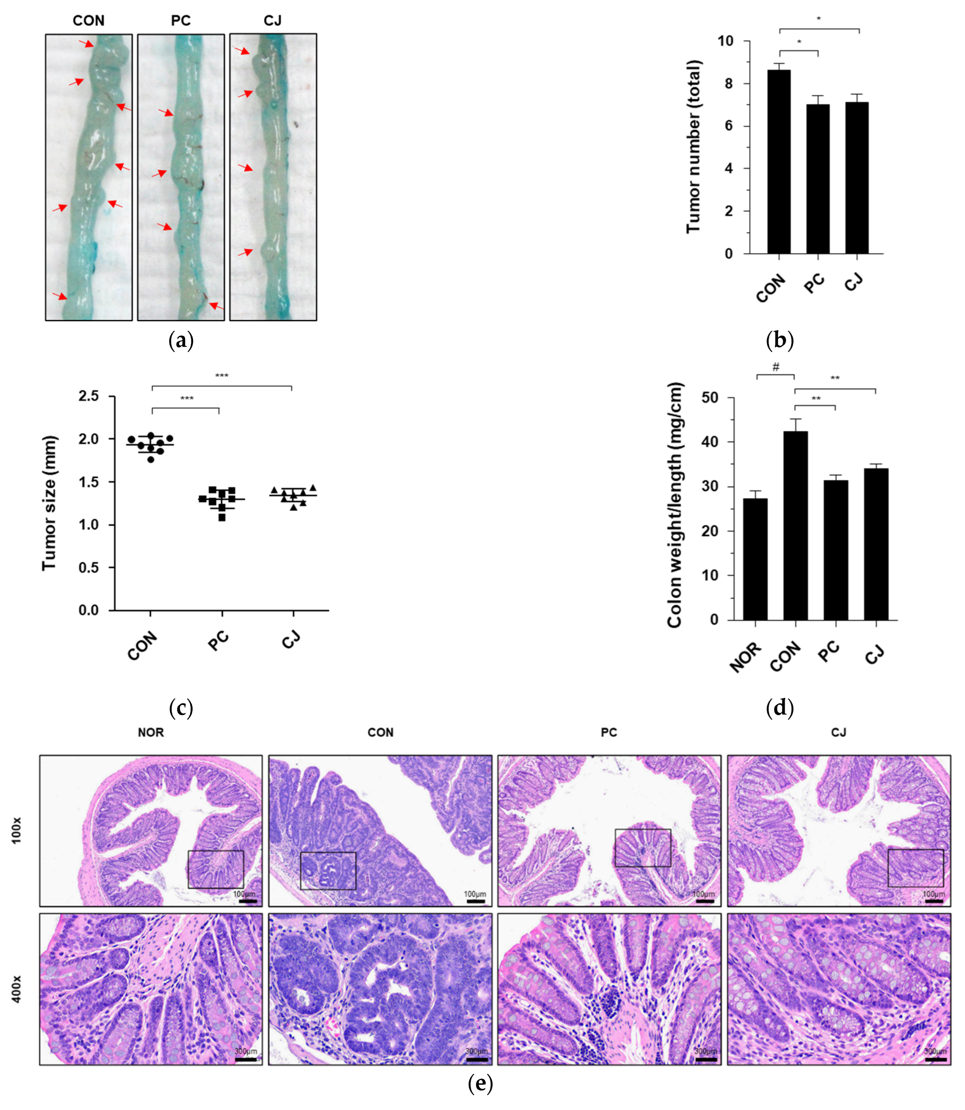 Foods 12 00383 g002 Foods 12 00383 g002