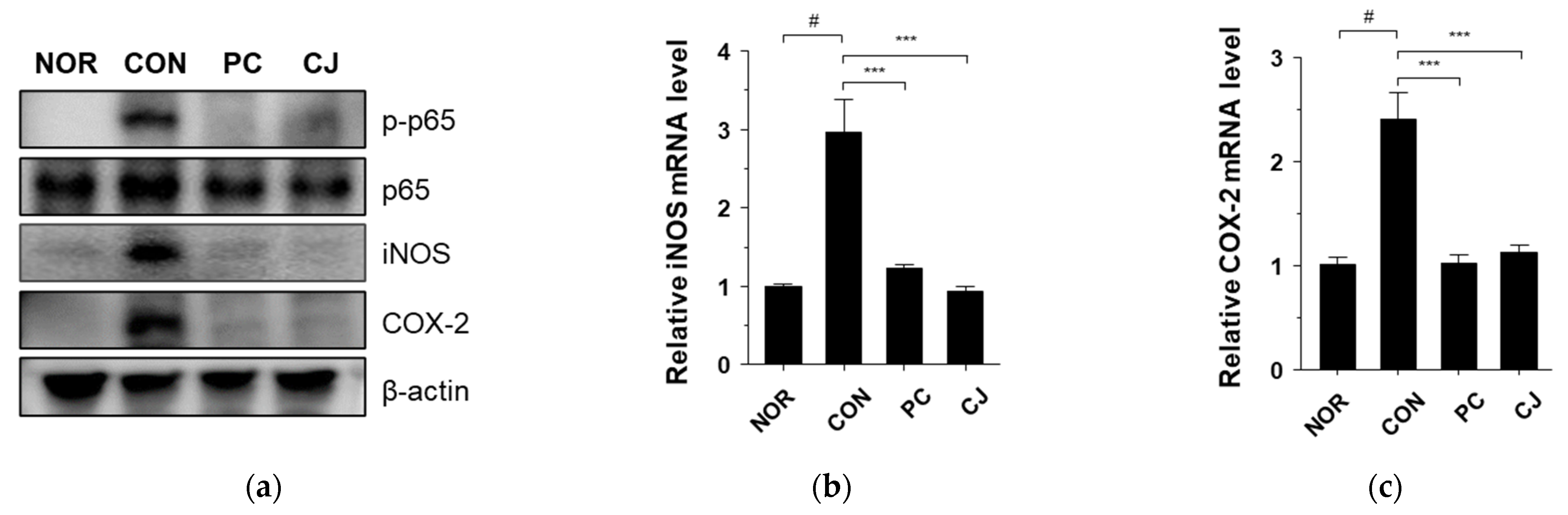 Foods 12 00383 g004 Foods 12 00383 g004