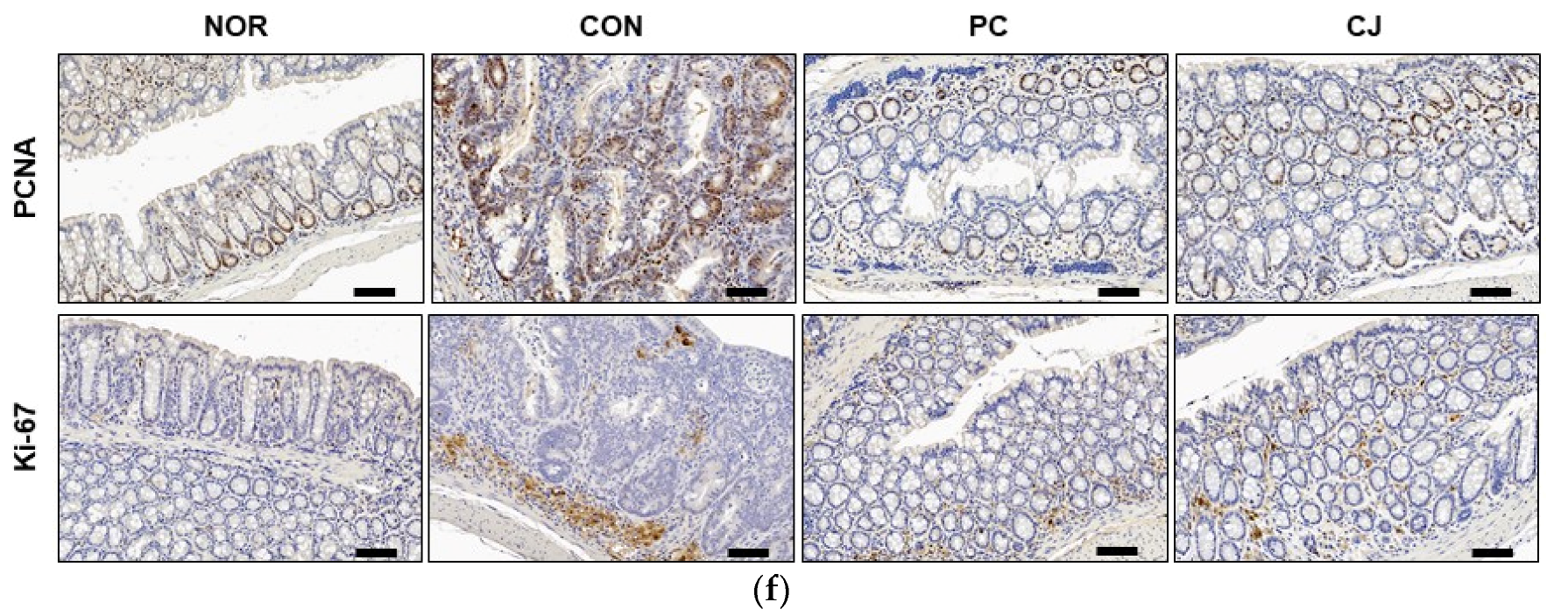Foods 12 00383 g006b Foods 12 00383 g006b