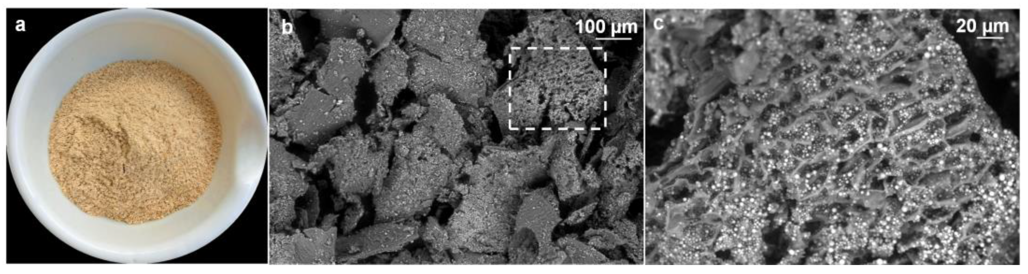 Foods 12 00384 g001 Foods 12 00384 g001