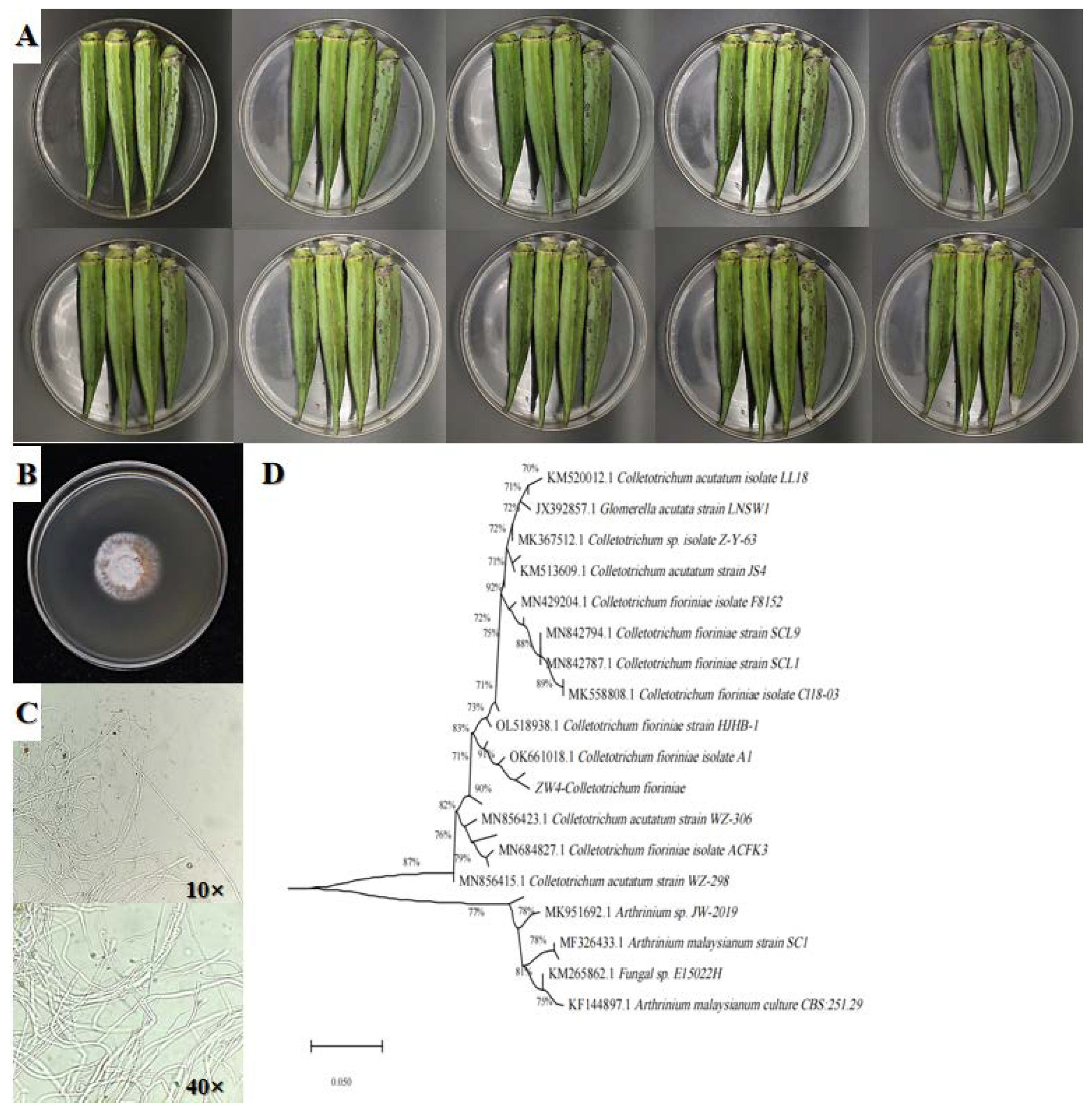 Foods 12 00395 g002 Foods 12 00395 g002