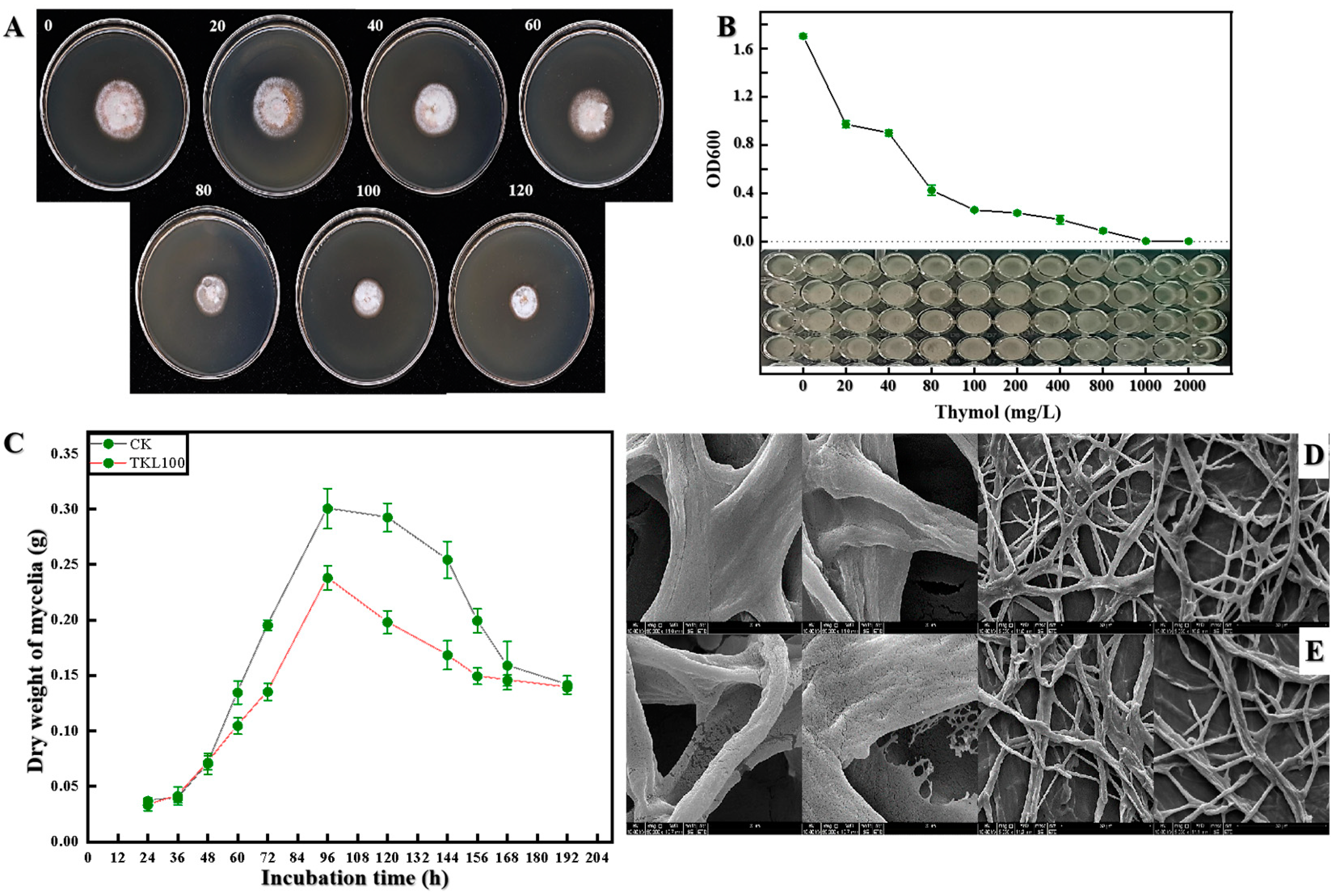 Foods 12 00395 g004 Foods 12 00395 g004
