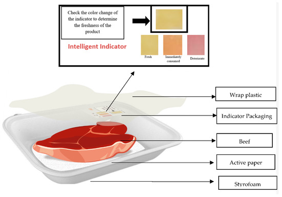 Quality and Shelf-Life Evaluation of Fresh Beef Stored in Smart 