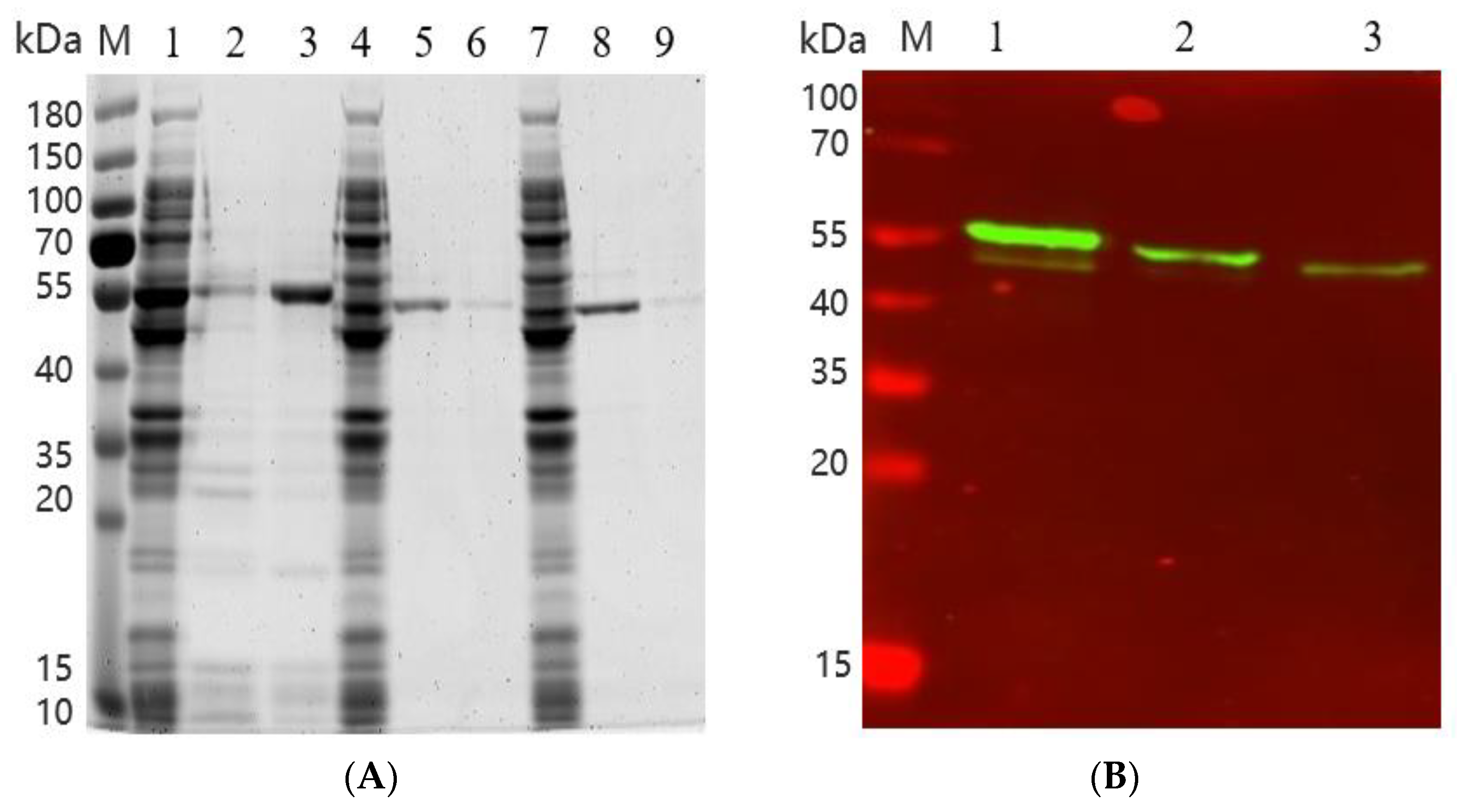 Foods 12 00416 g005 Foods 12 00416 g005