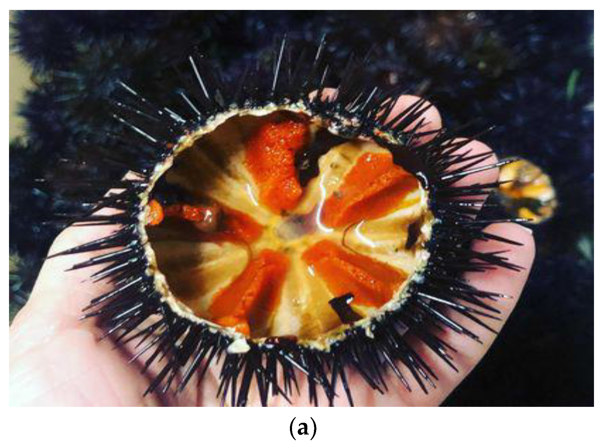 Foods 12 00418 g002a Foods 12 00418 g002a