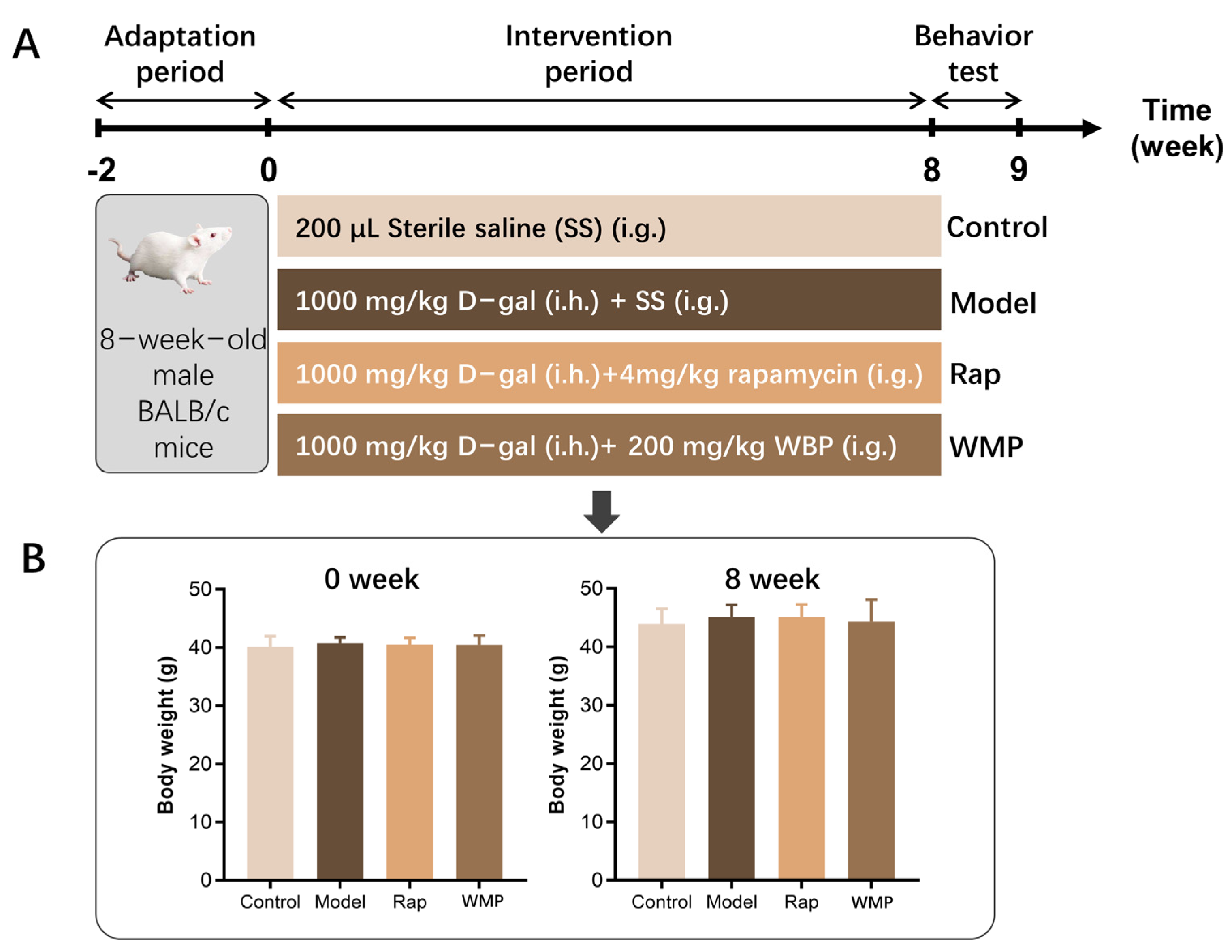 Foods 12 00424 g001 Foods 12 00424 g001