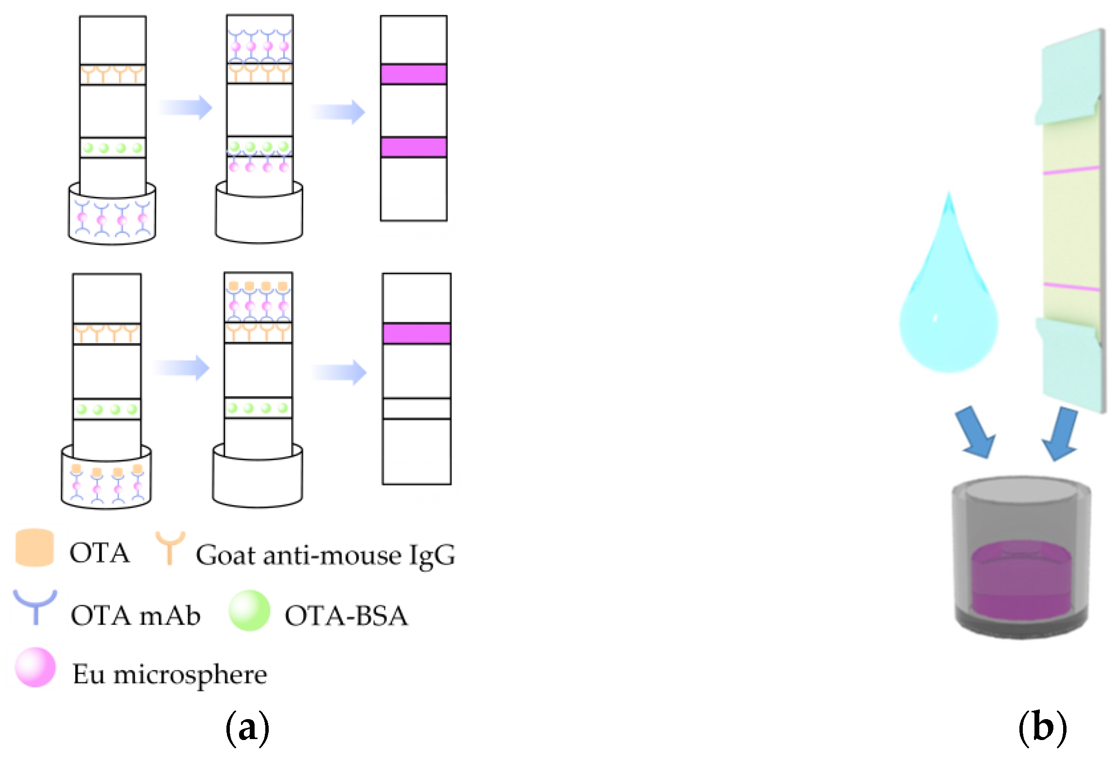 Foods 12 00431 g002 Foods 12 00431 g002