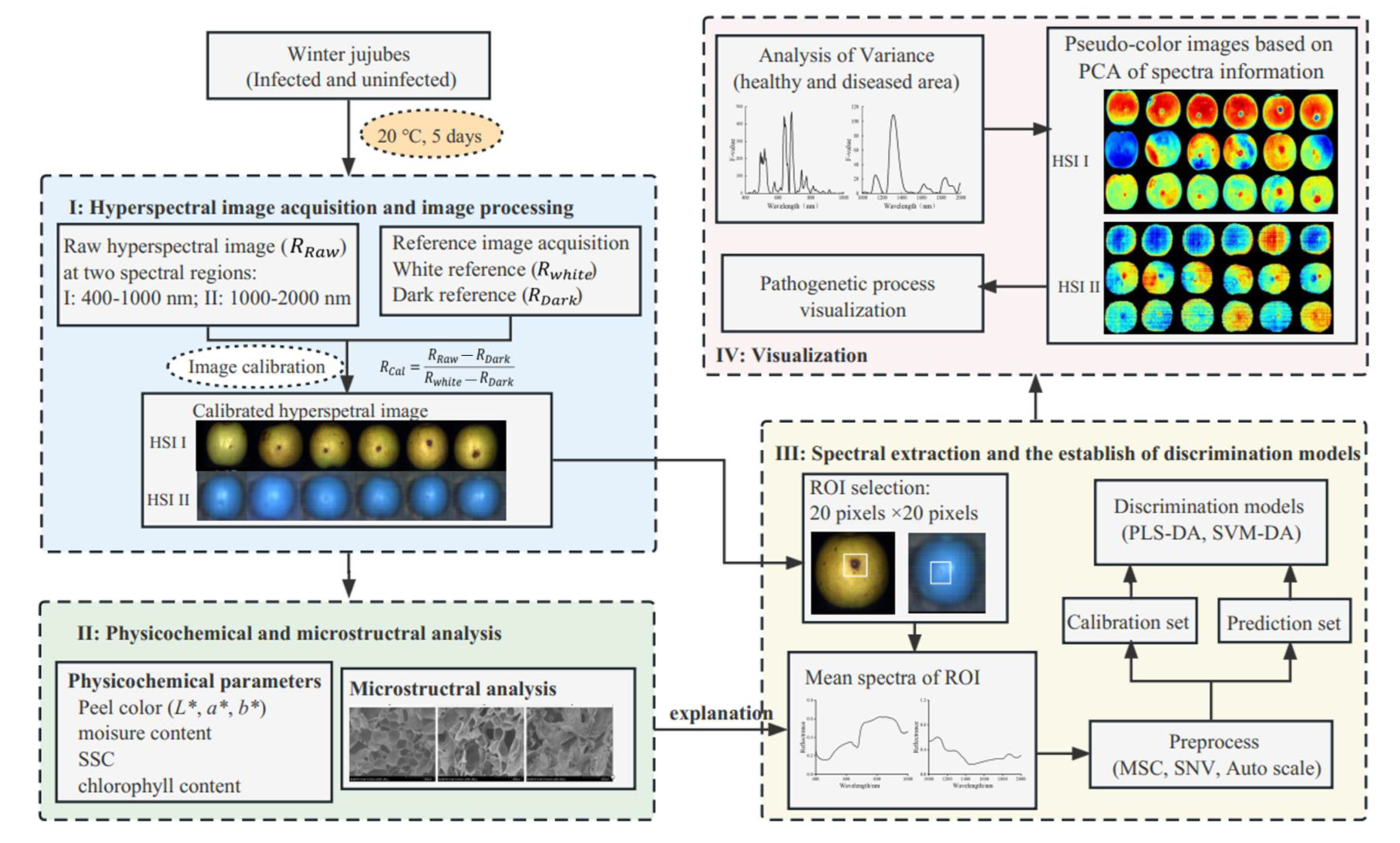 Foods 12 00435 g001 Foods 12 00435 g001