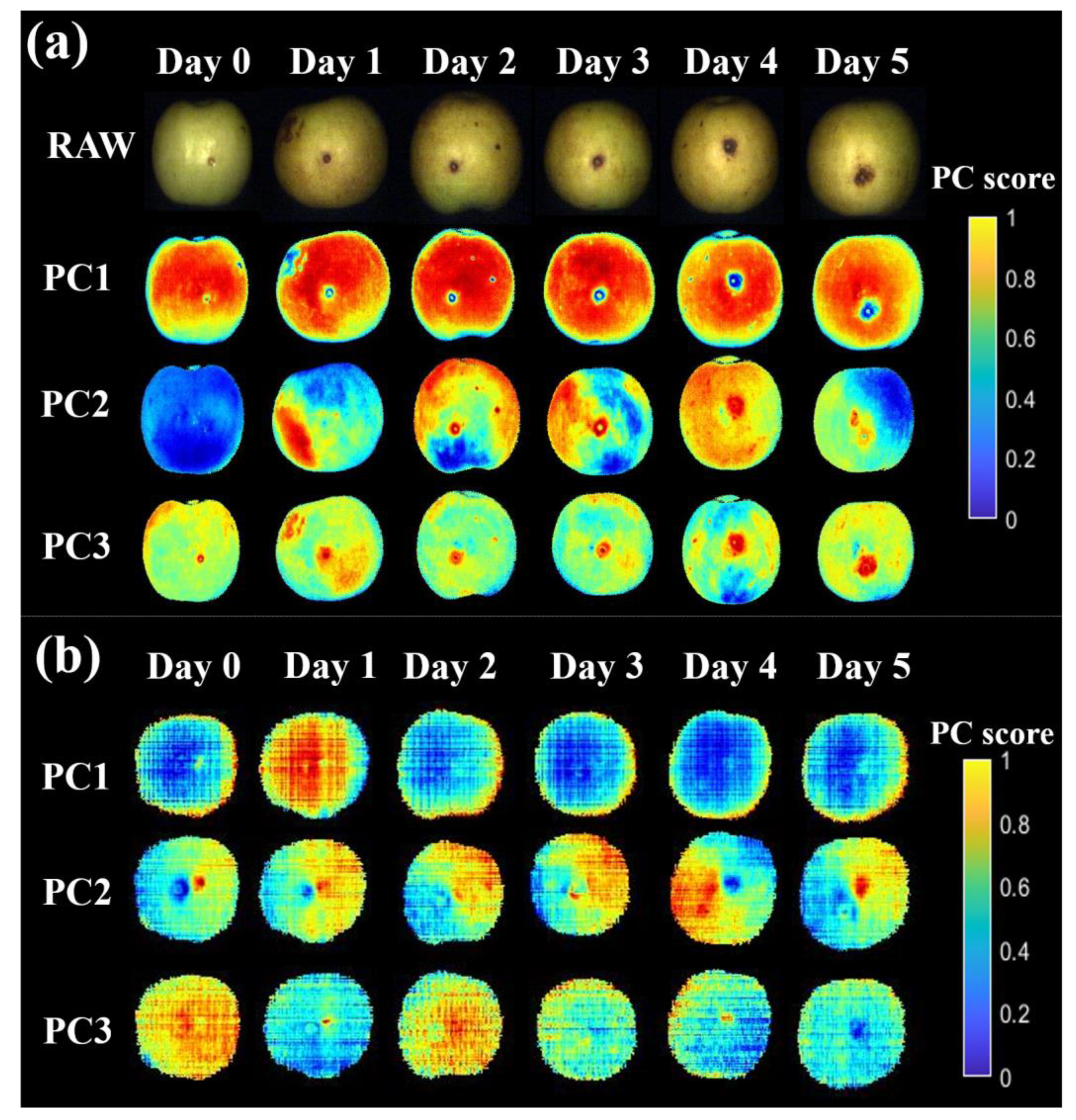 Foods 12 00435 g005 Foods 12 00435 g005